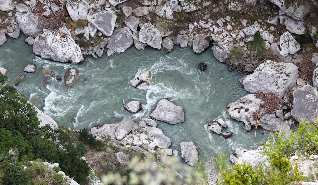 a river running through a lush green forest,