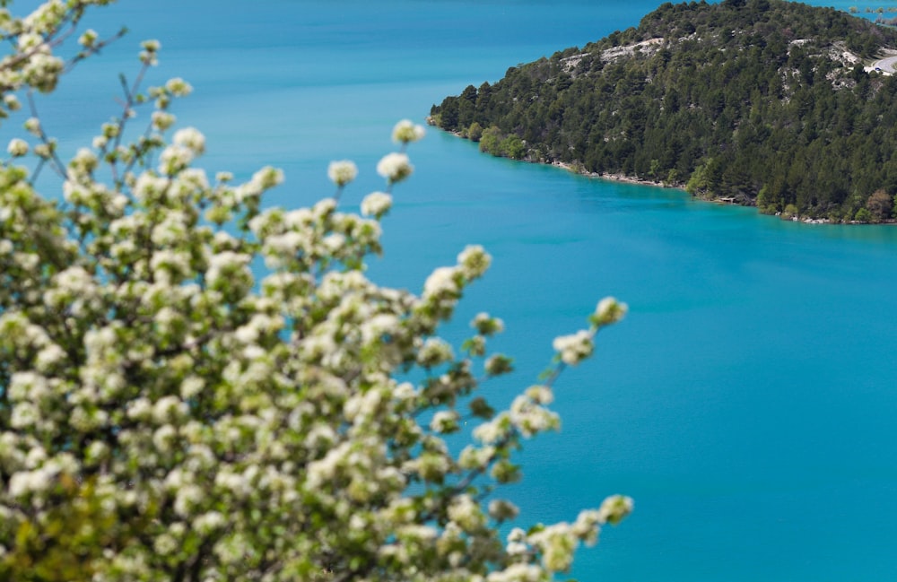 a view of a lake with a mountain in the background