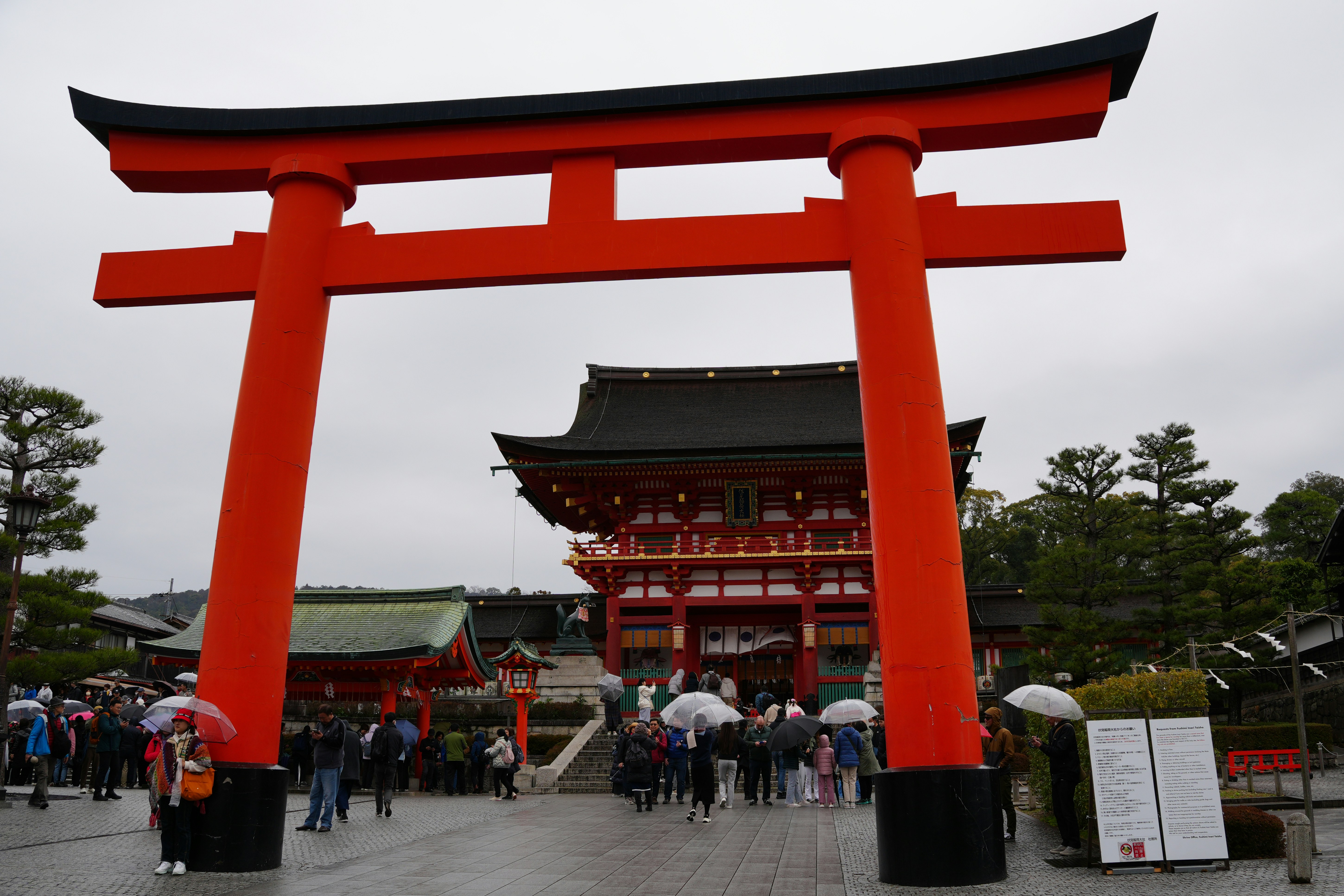 Photo by dm8ryphotos