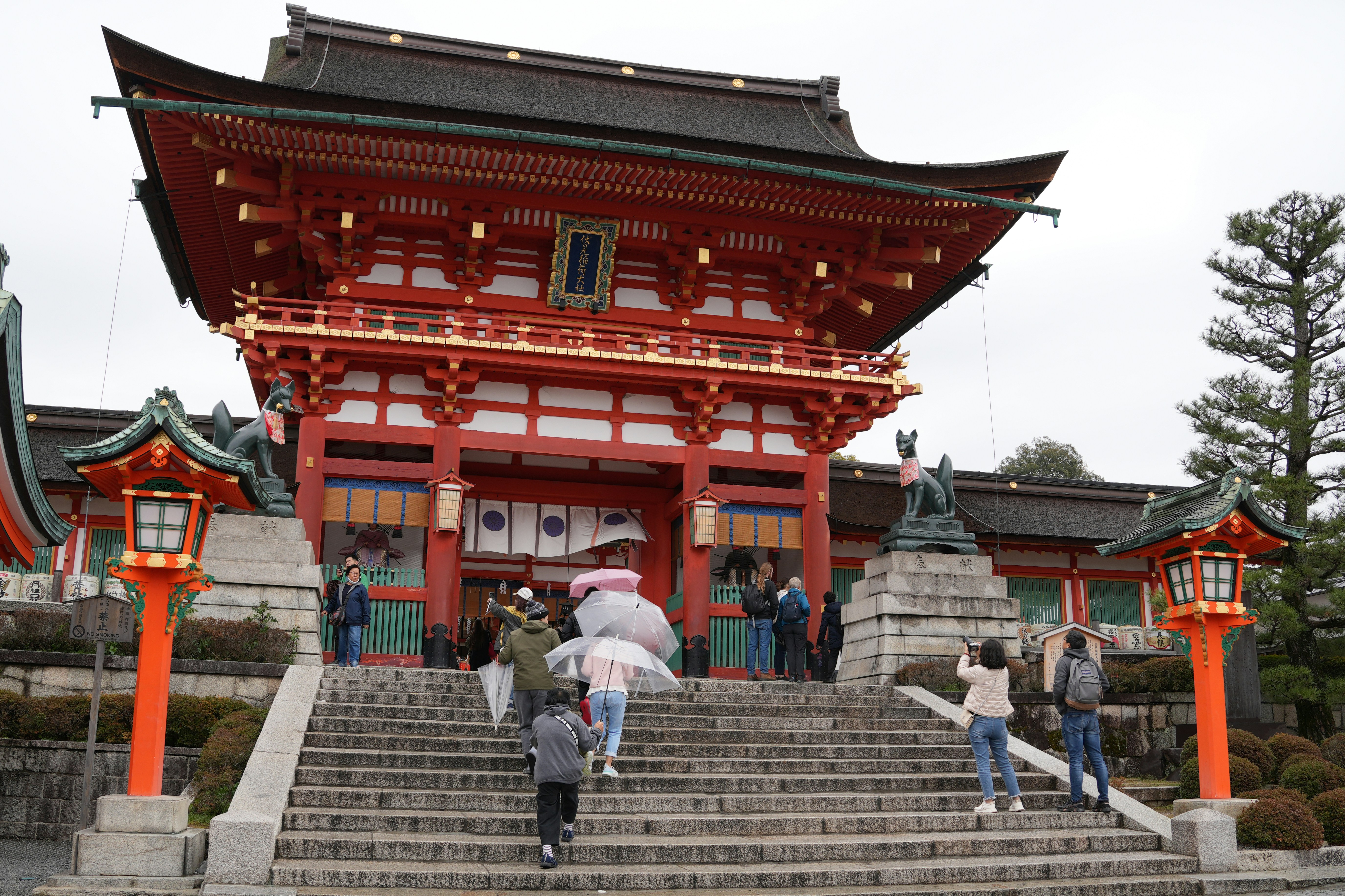 Photo by dm8ryphotos