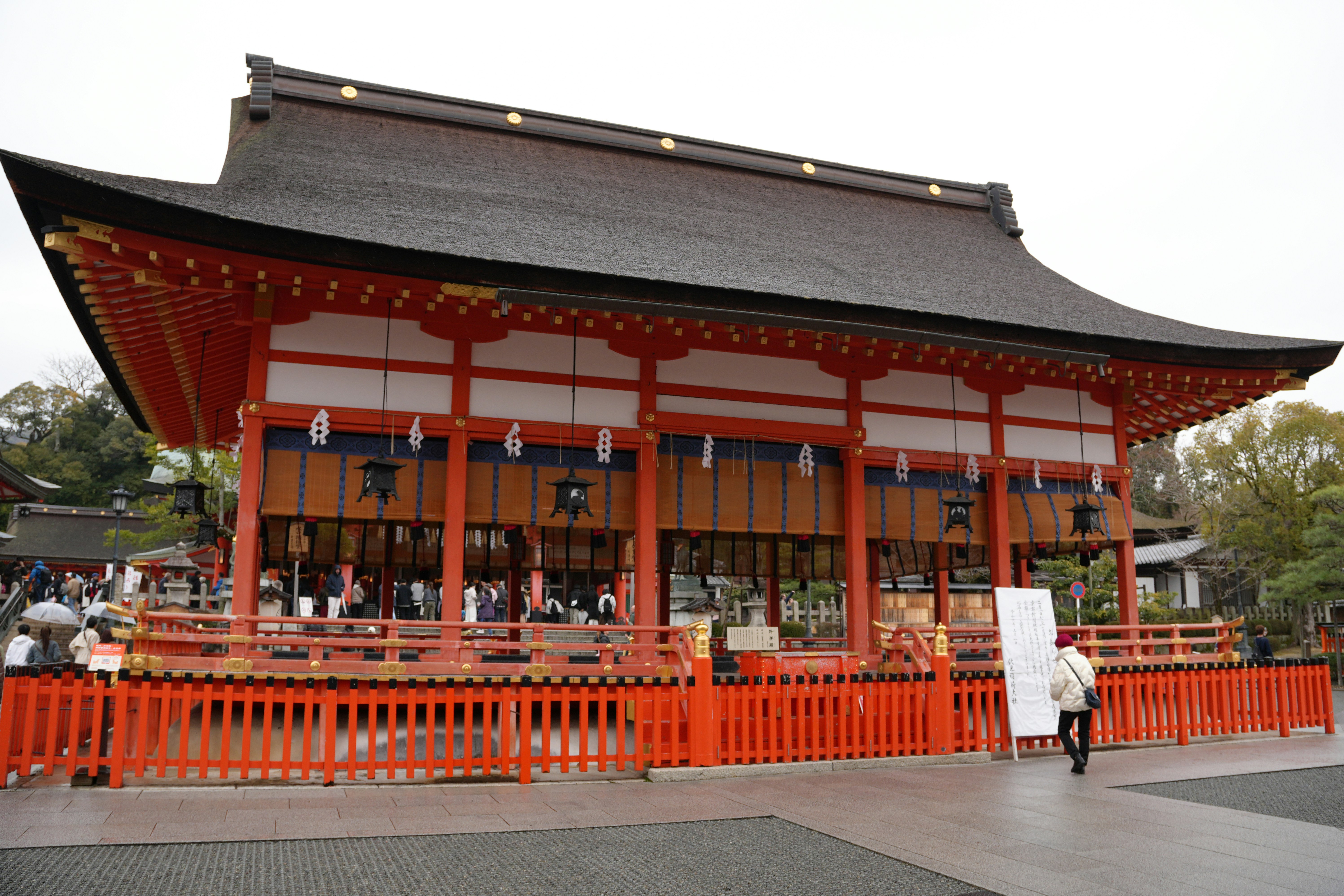 Photo by dm8ryphotos