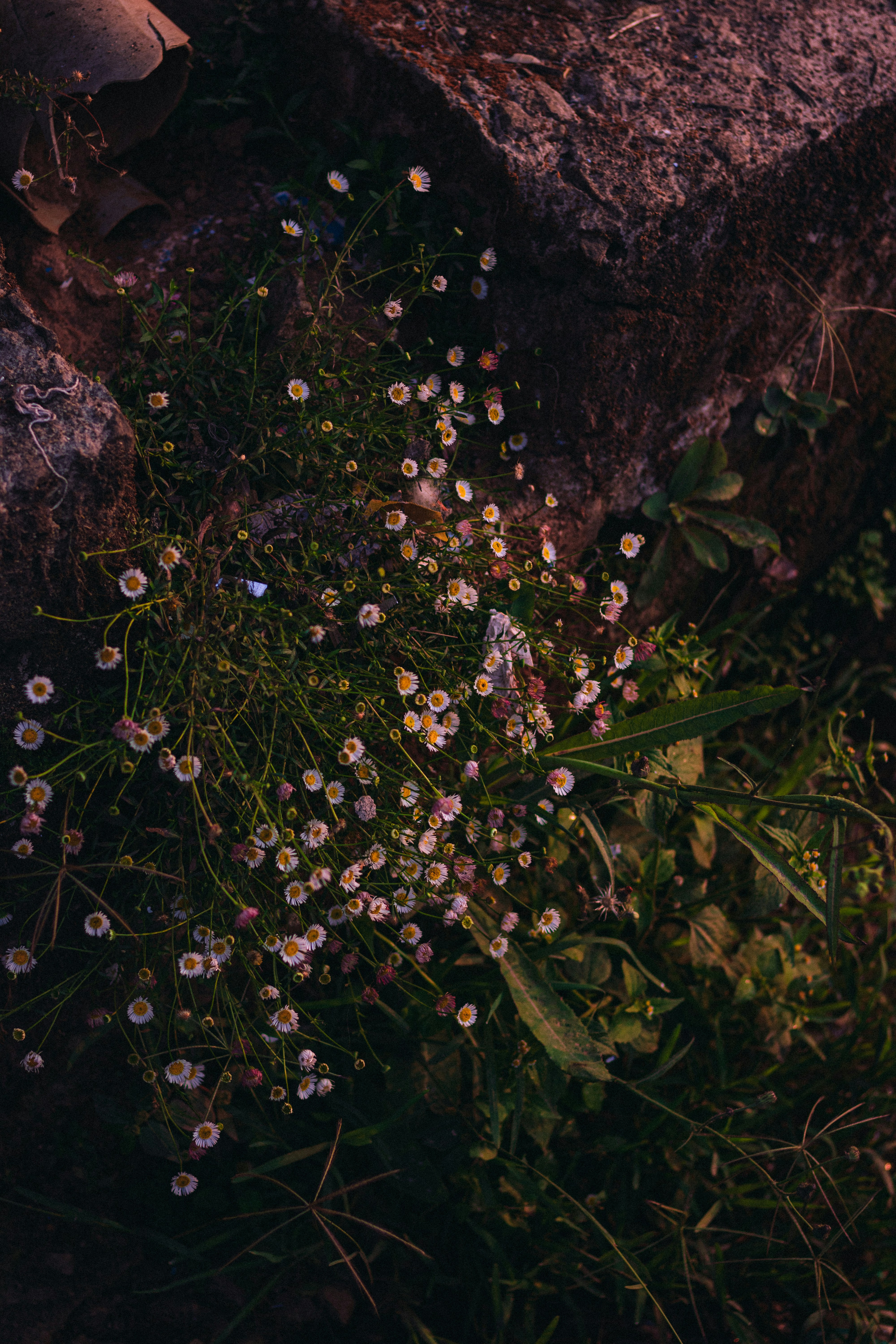 Photo by dhilipantony