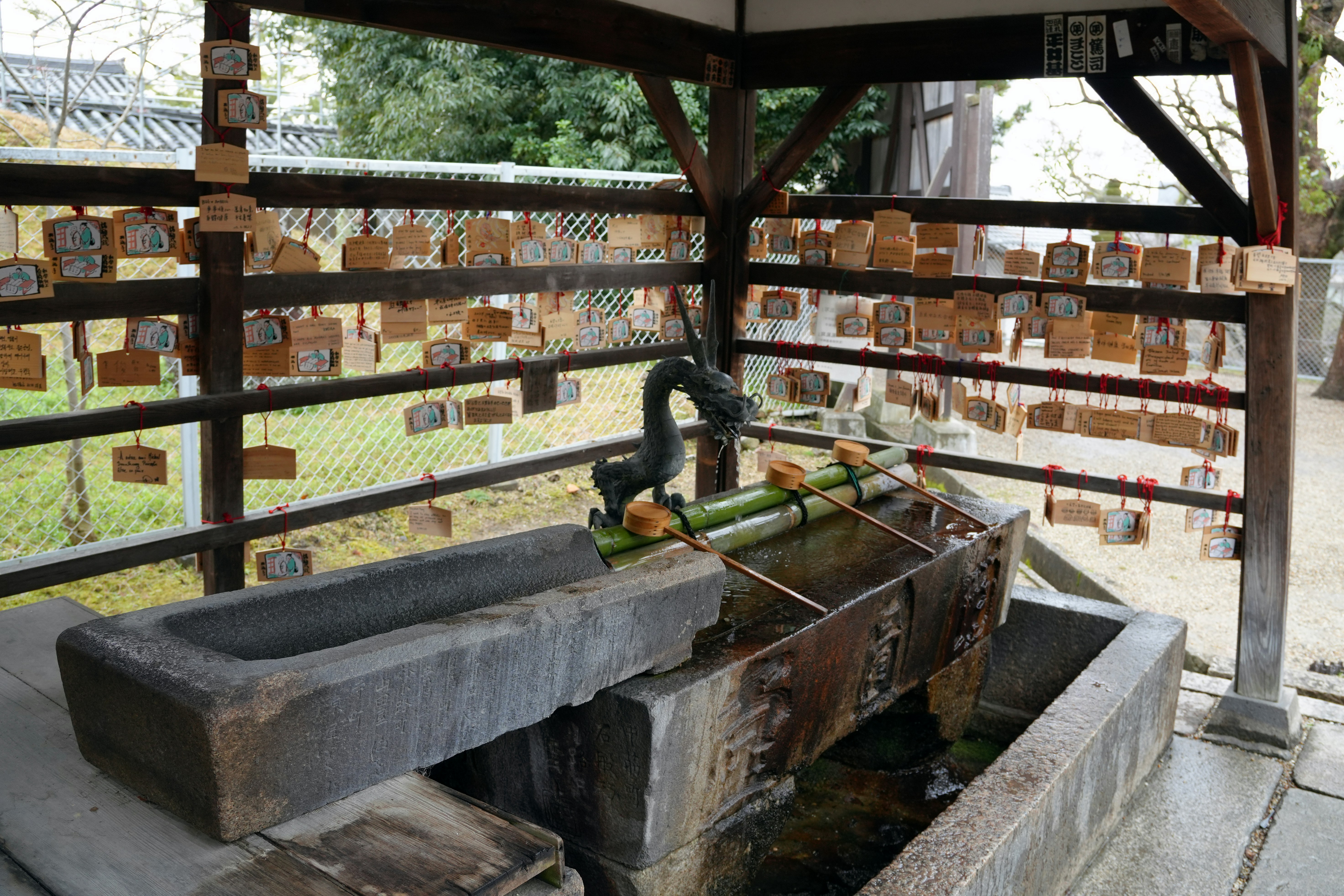 Photo by dm8ryphotos