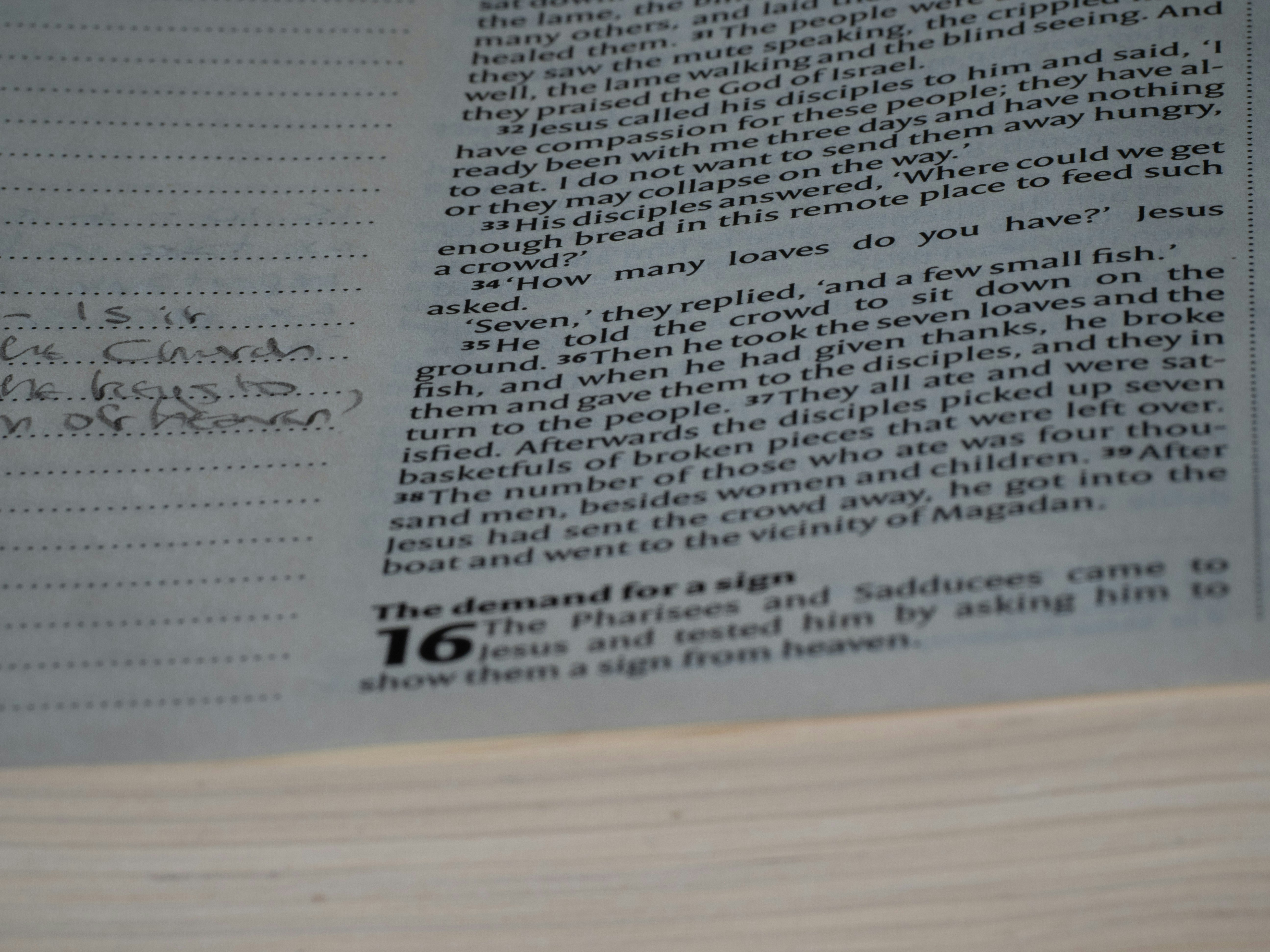 Photo by brett_jordan