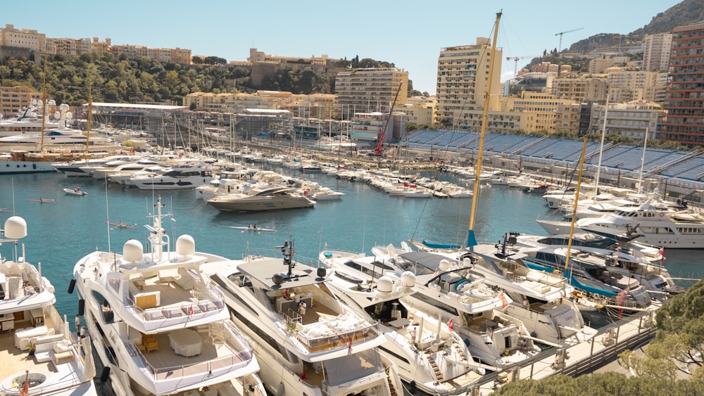 a marina filled with lots of white boats