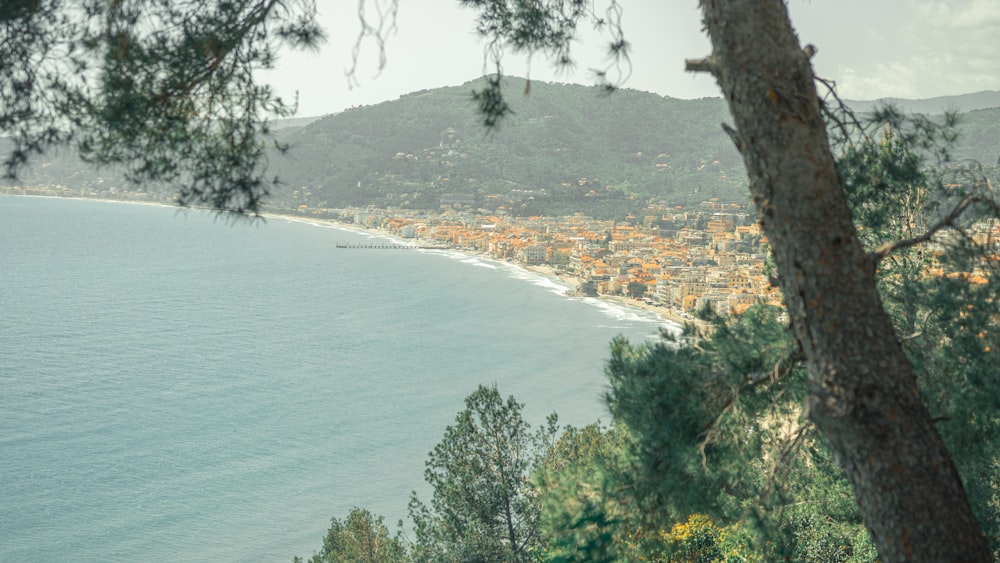 a view of a beach from a hill