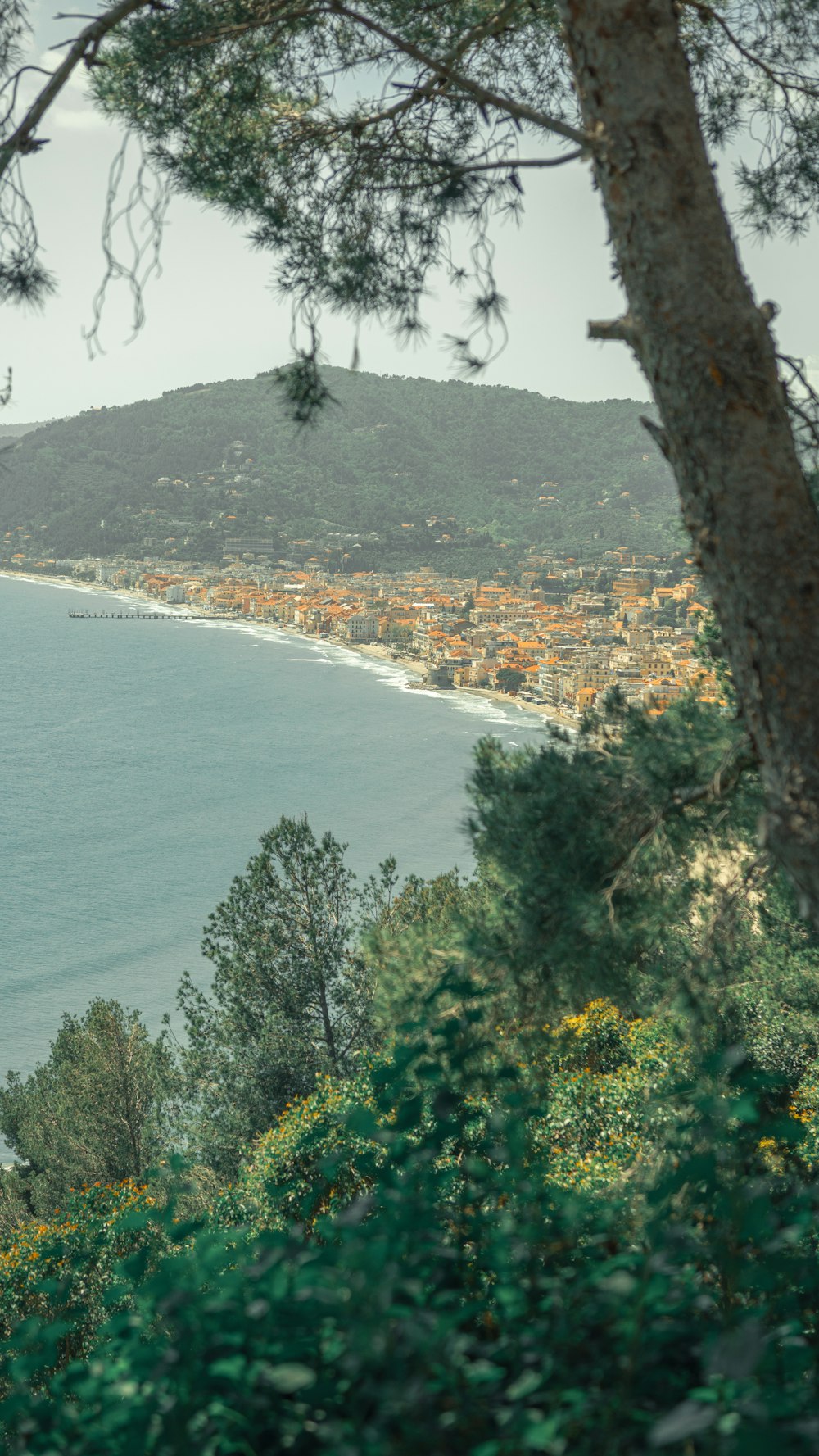 a view of a beach from a hill