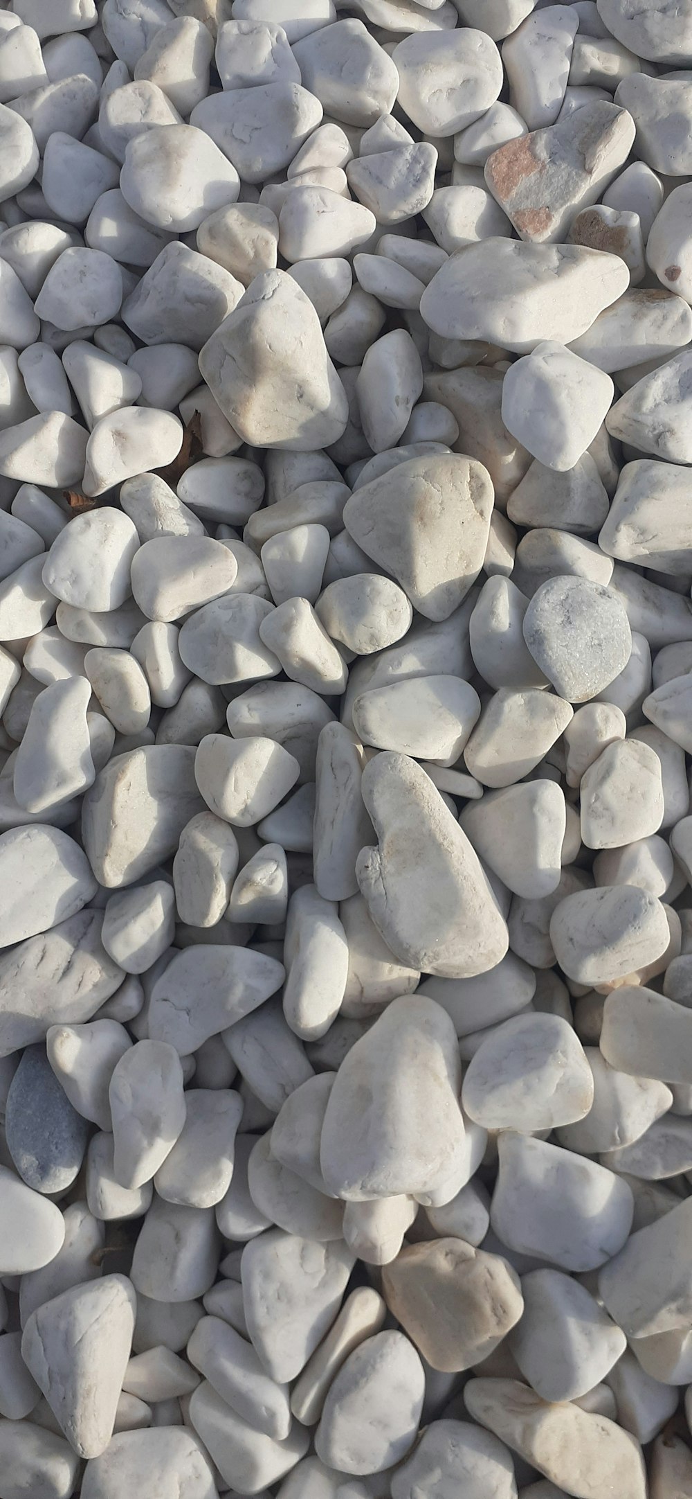 a pile of white rocks sitting next to each other