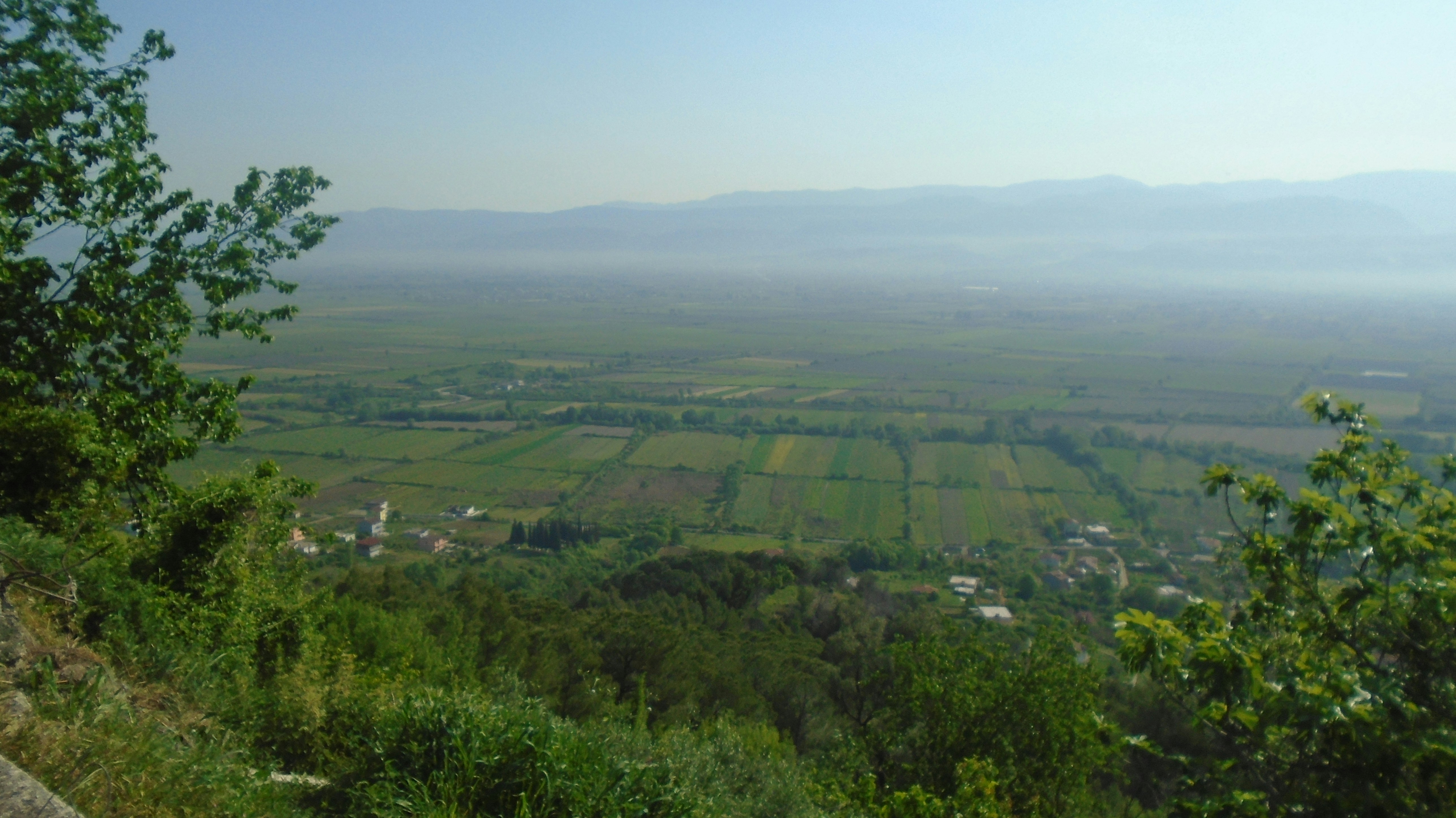 a view of a valley from a hill
