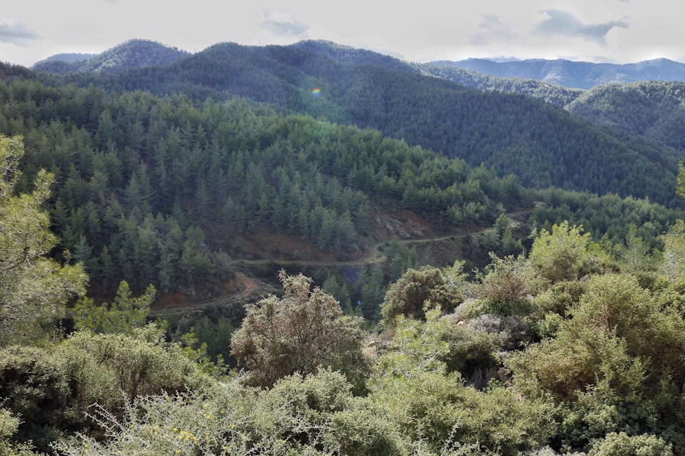 a view of a mountain range with trees and mountains in the background