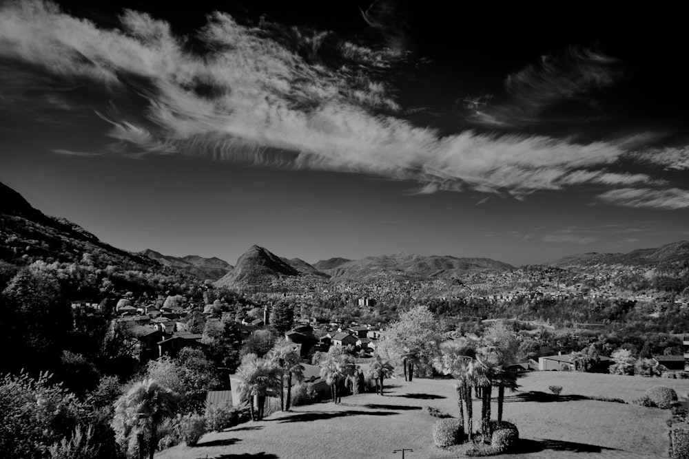 a black and white photo of a desert landscape