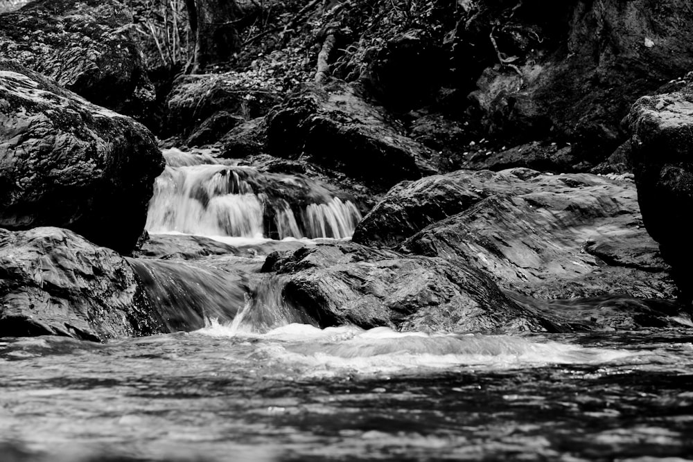 a black and white photo of a stream