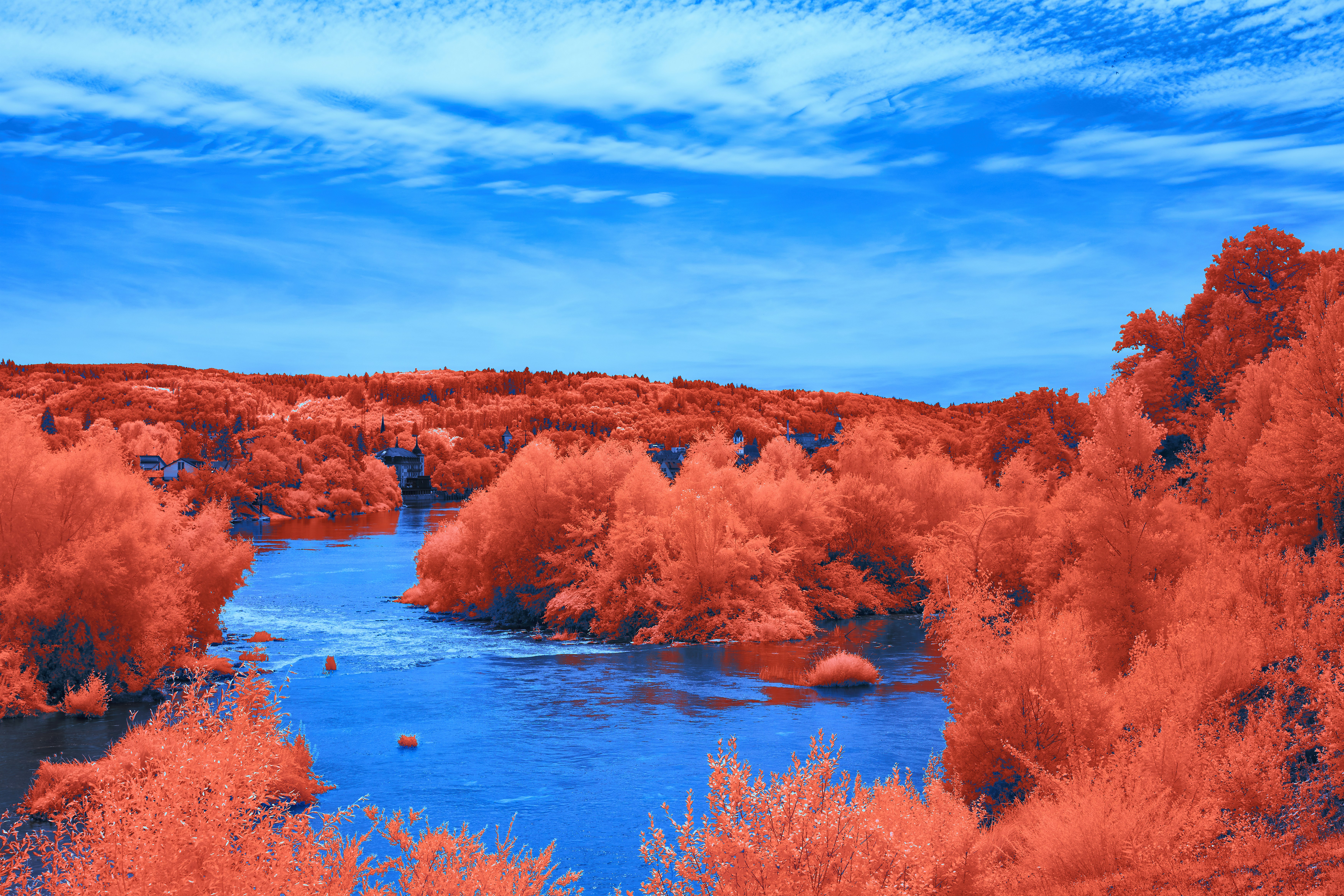 Photo by wolfgang_hasselmann