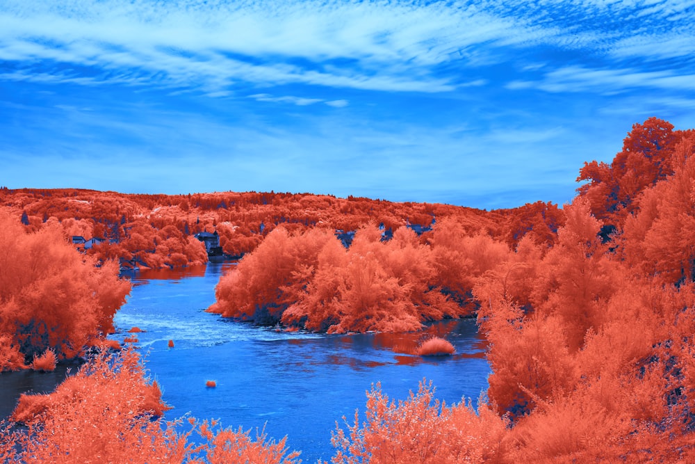 an infrared image of a river surrounded by trees