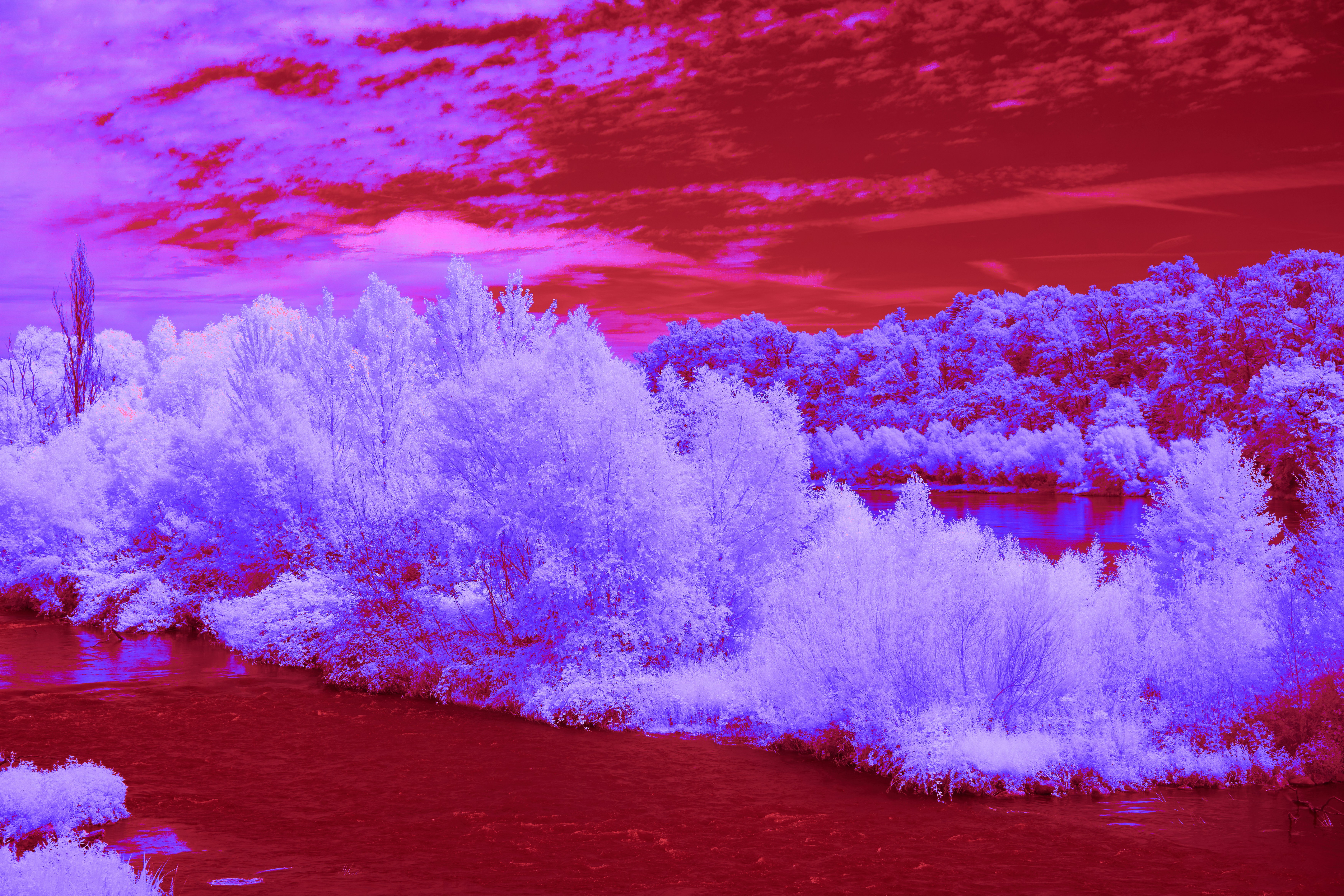 Photo by wolfgang_hasselmann