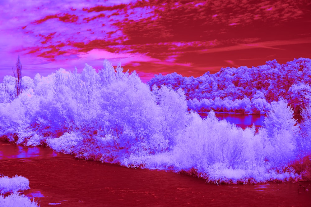 infrared image of trees and water with a red sky
