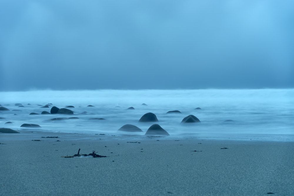 a group of rocks sitting on top of a sandy beach