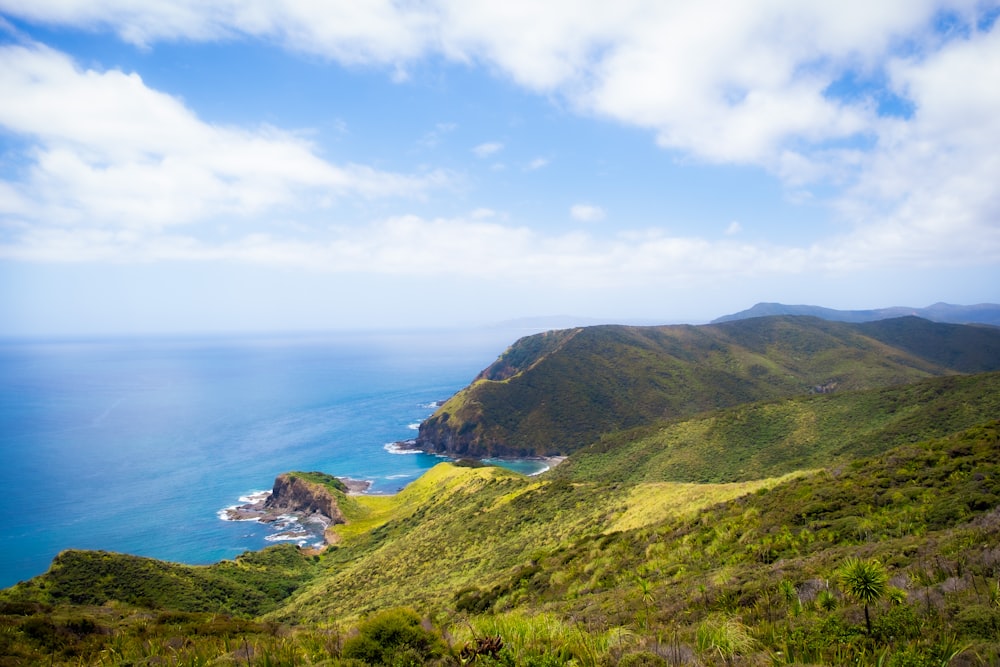 a lush green hillside with a body of water in the distance