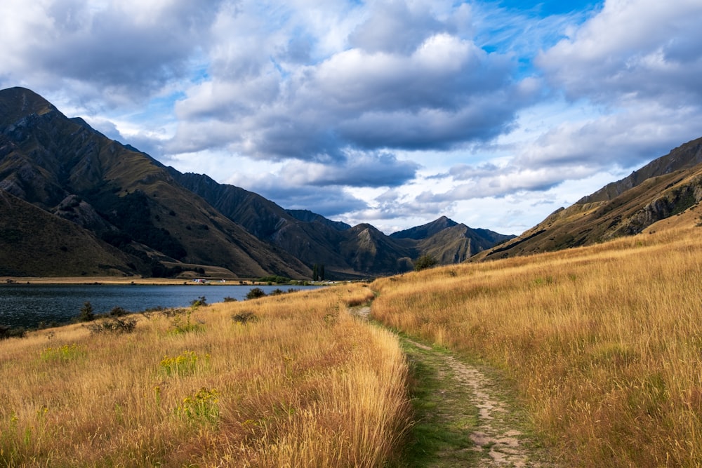 a trail winds through a grassy field with mountains in the background