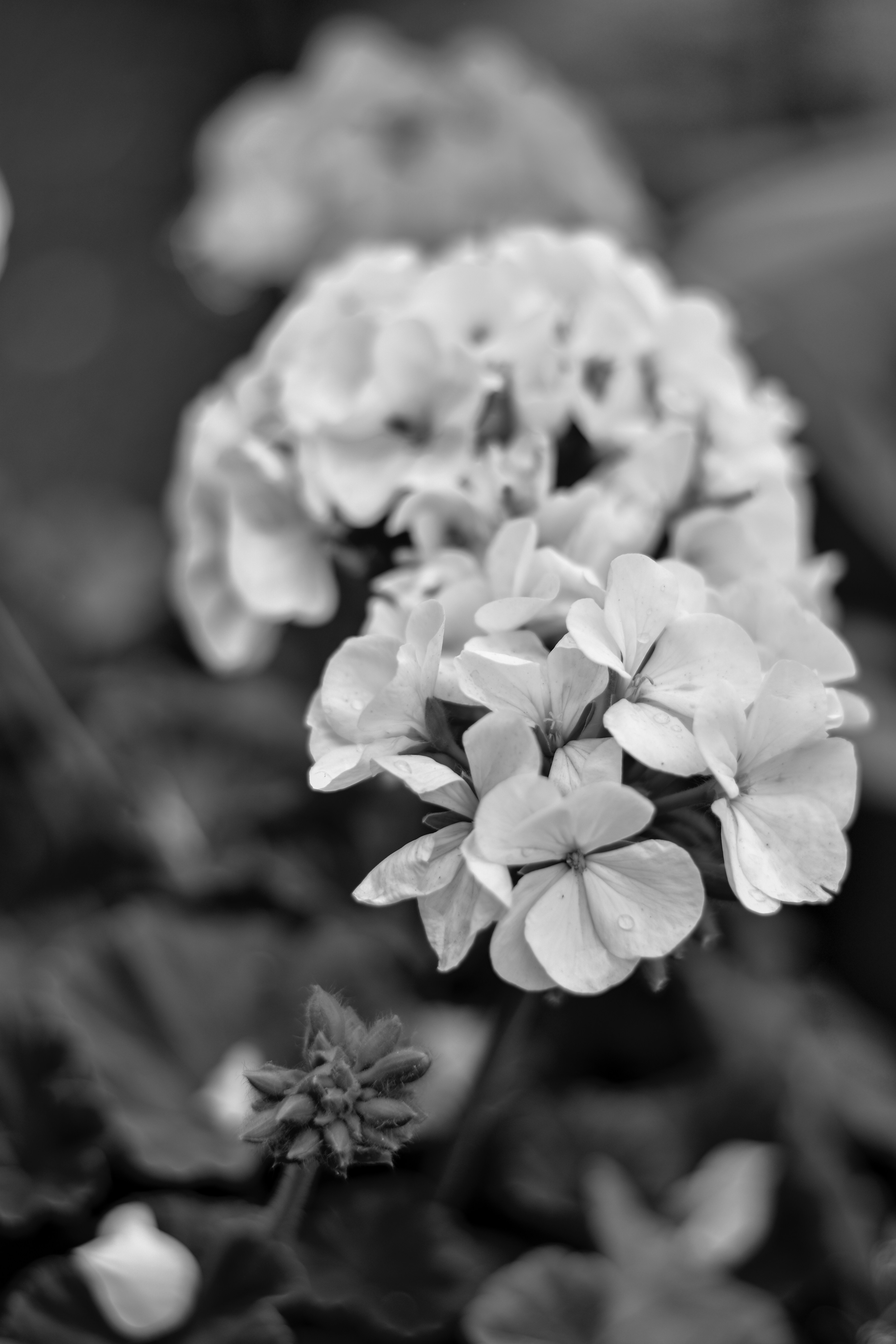 Photo by neelakshi_singh_