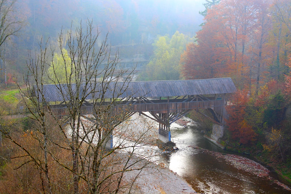 a bridge over a river surrounded by trees