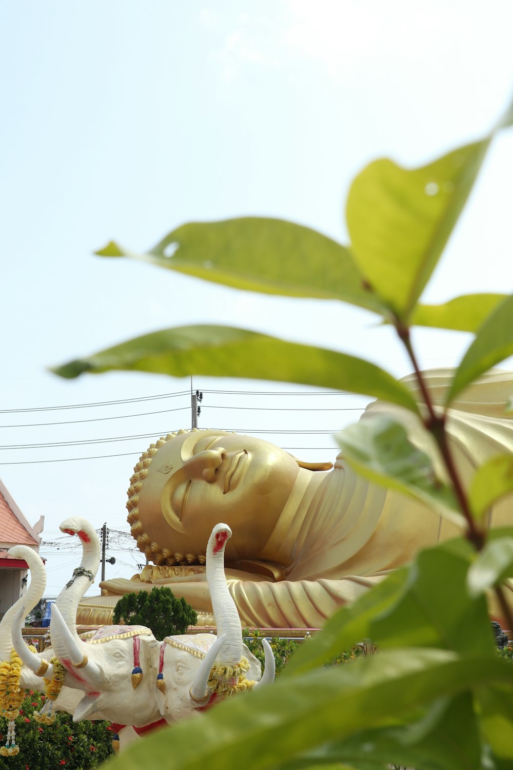 a large golden buddha statue sitting next to a white swan