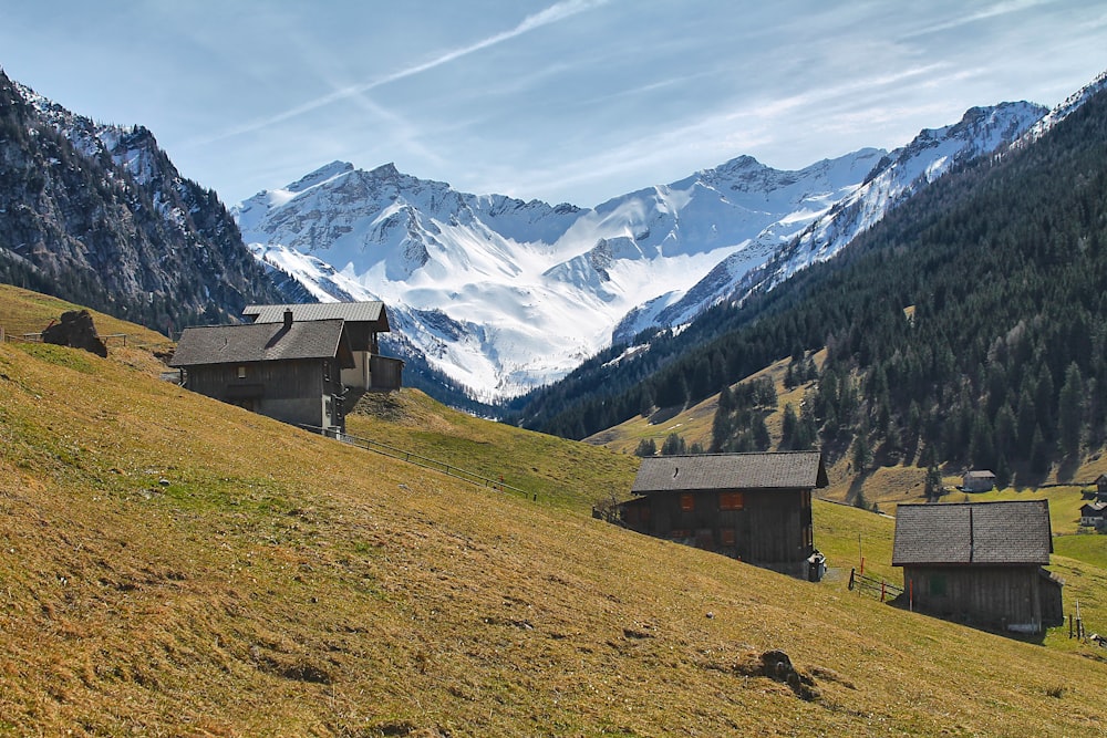 a group of houses sitting on top of a lush green hillside