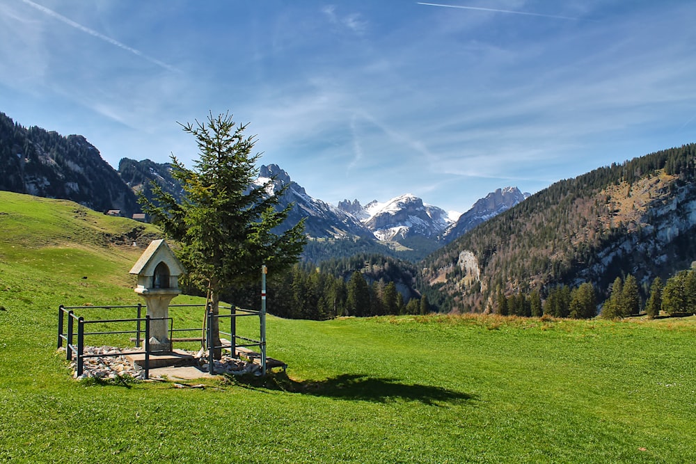 a grassy field with a small hut in the middle of it