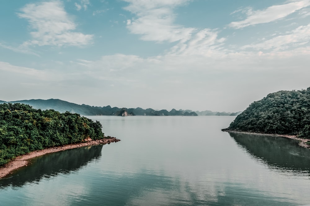 a large body of water surrounded by trees