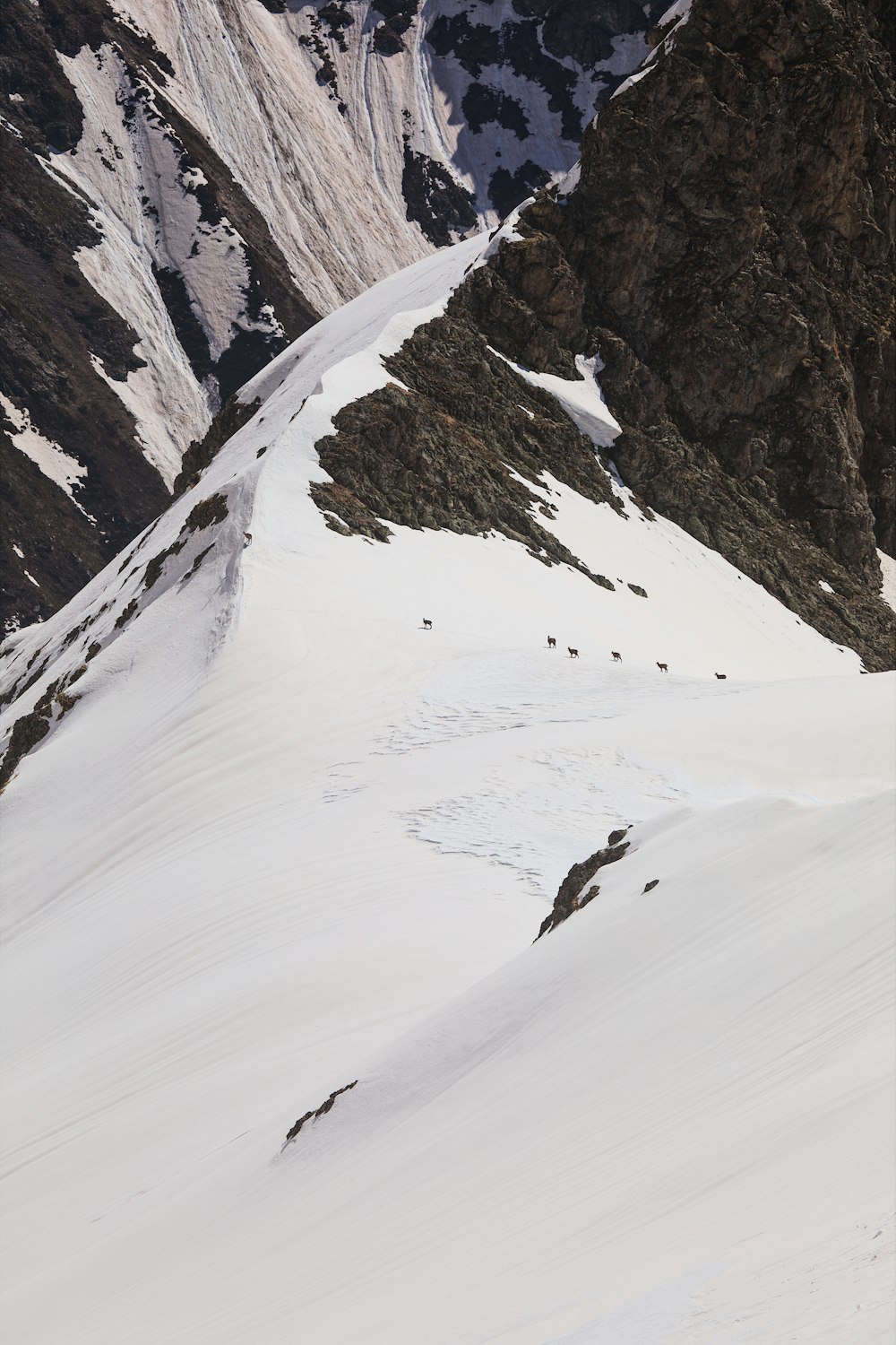 a group of people skiing down a snow covered mountain