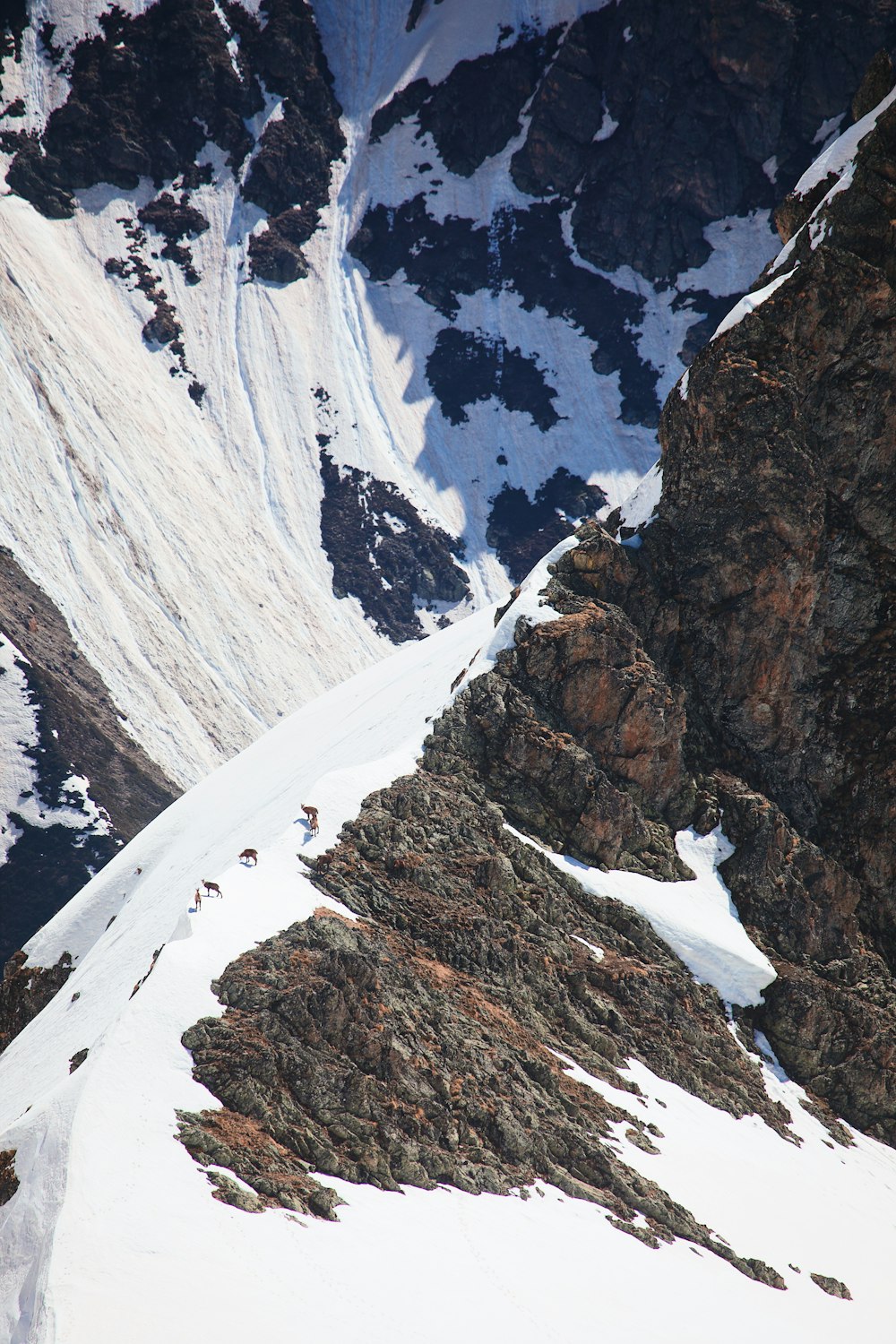 a group of people climbing up the side of a snow covered mountain
