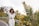a woman standing on a road with her hands on her head