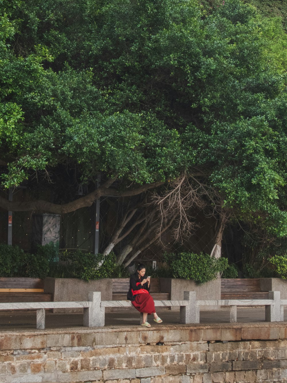 a woman in a red dress taking a picture of a tree