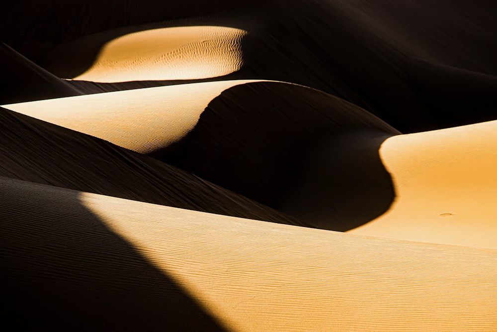 a group of sand dunes in the desert