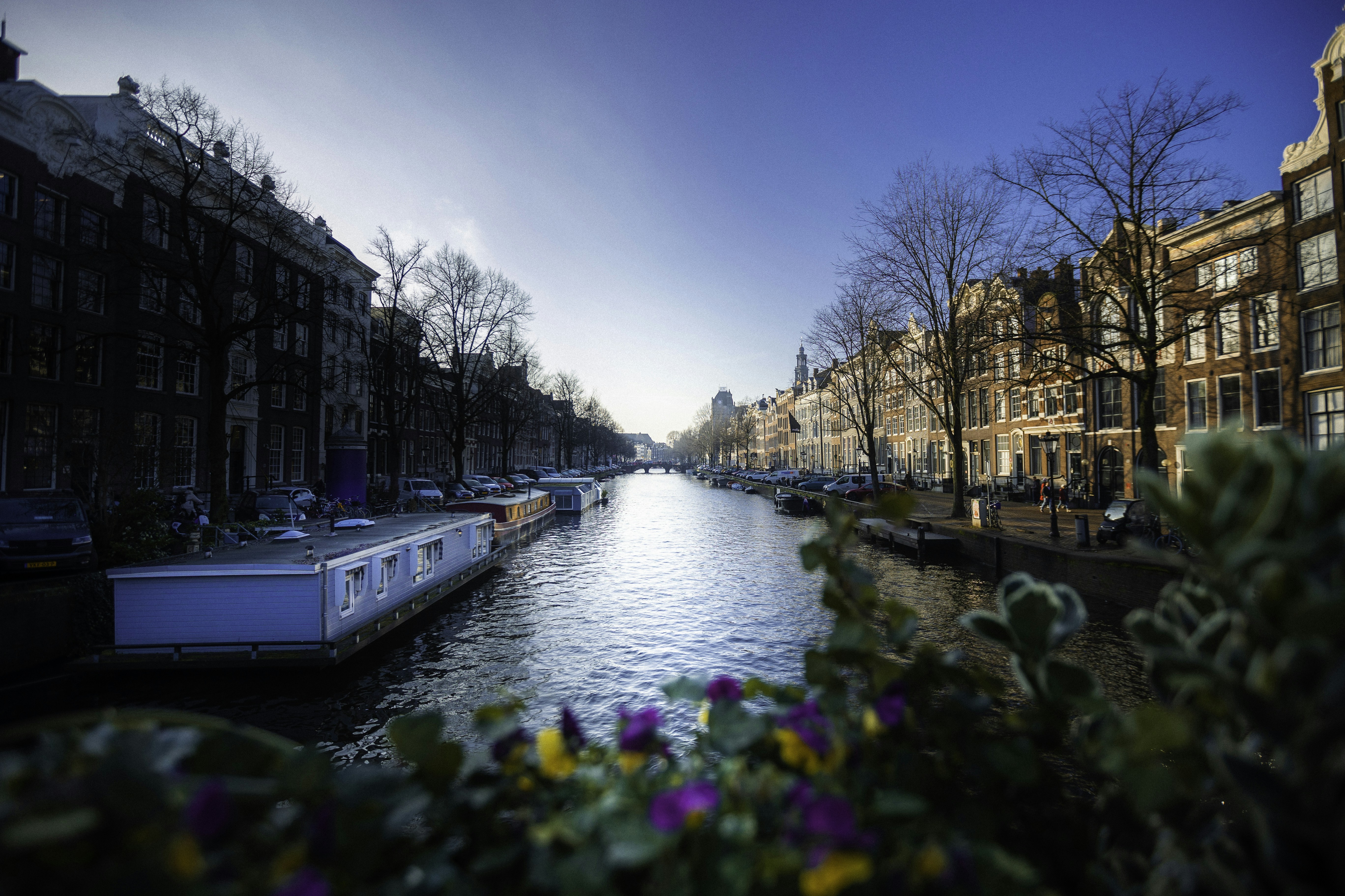 Photo by behindthetmuna