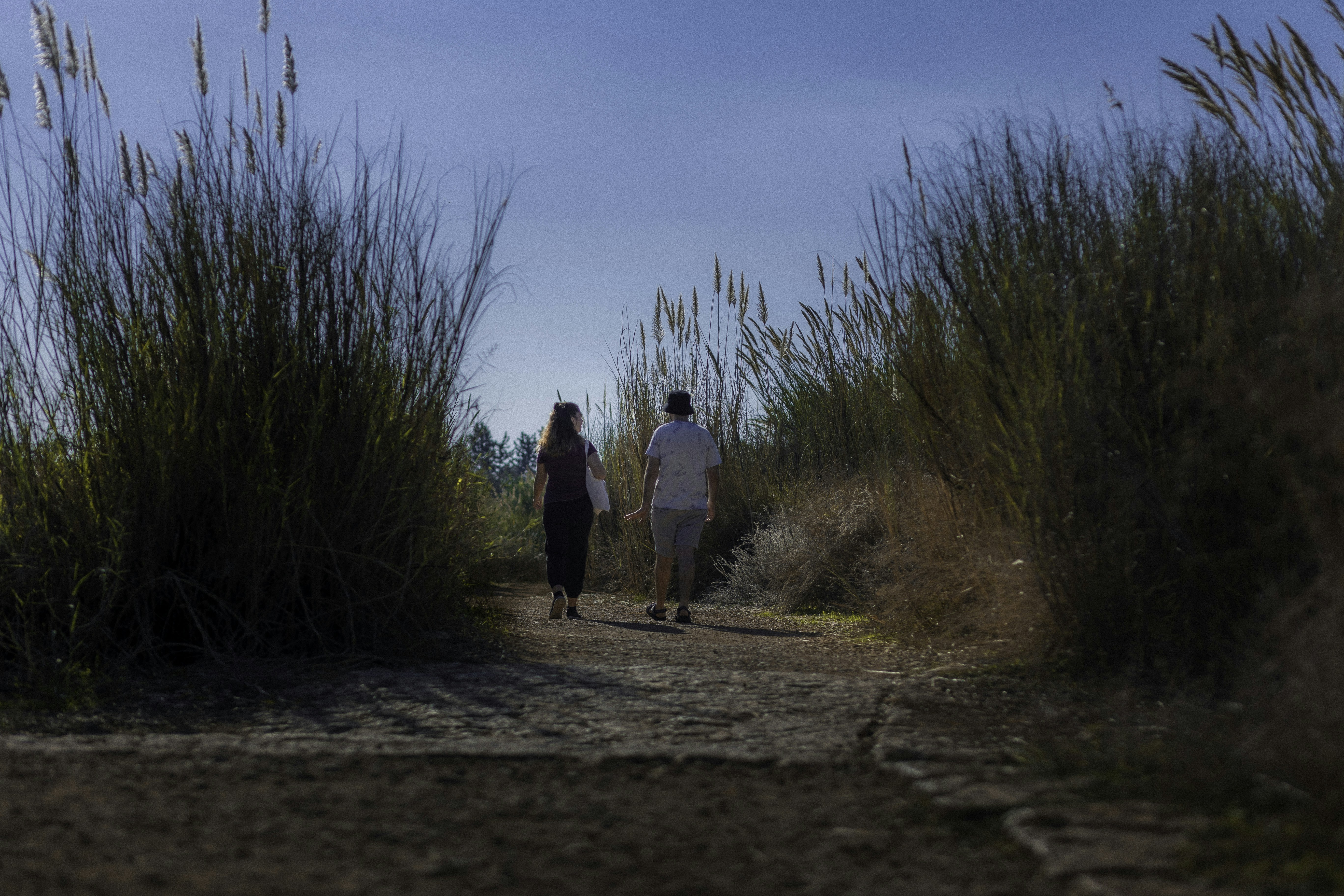 Photo by behindthetmuna