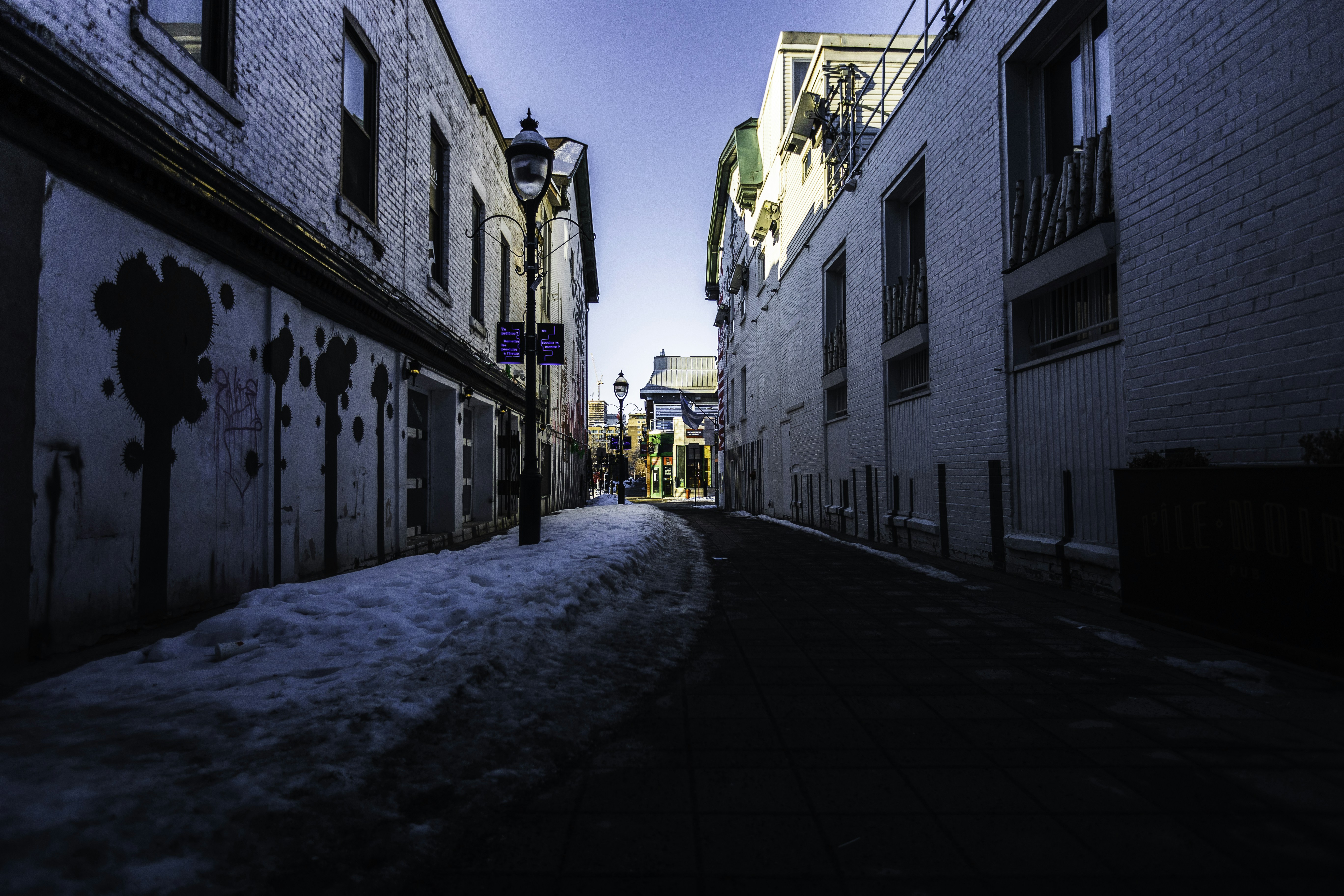 Photo by behindthetmuna