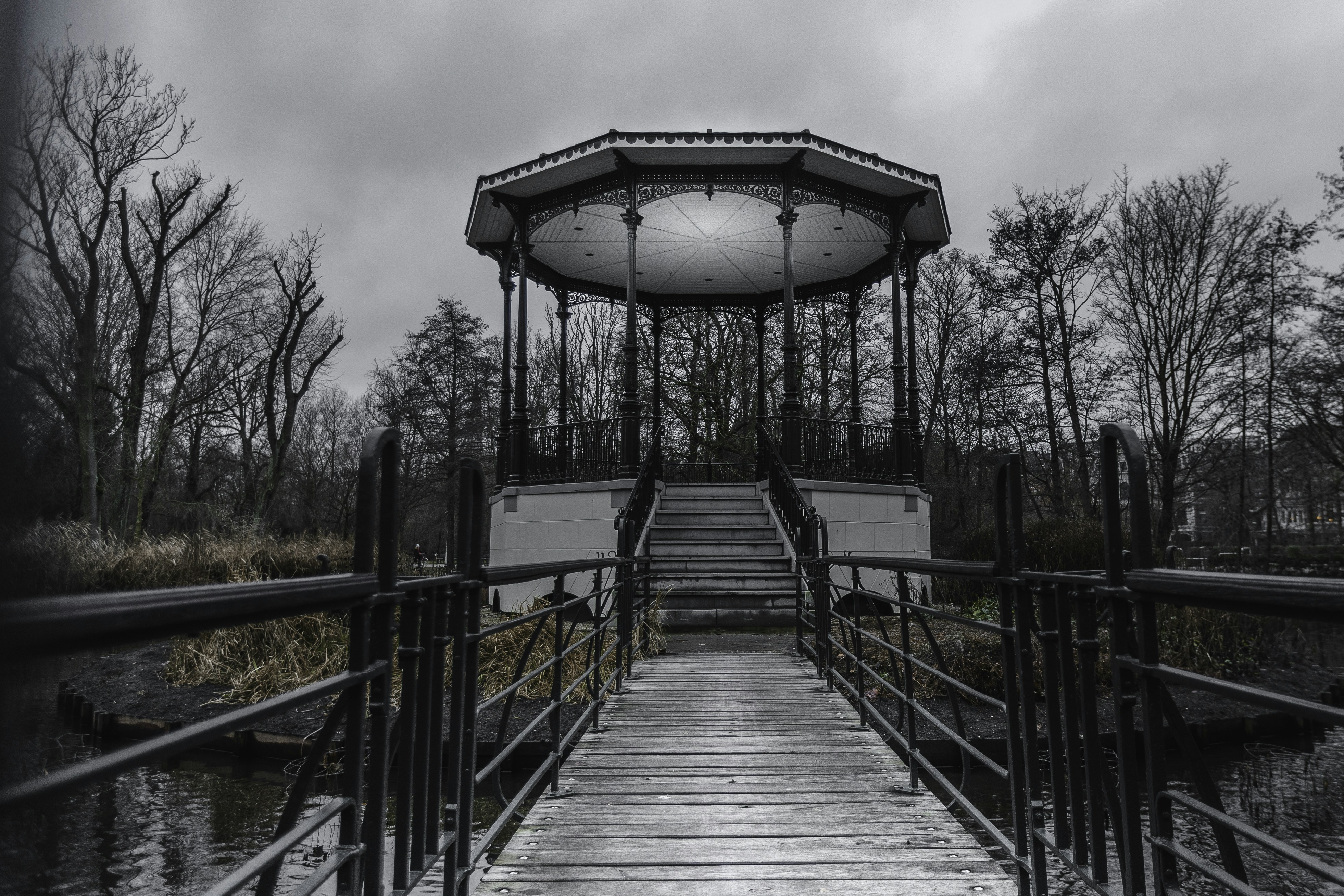 Photo by behindthetmuna