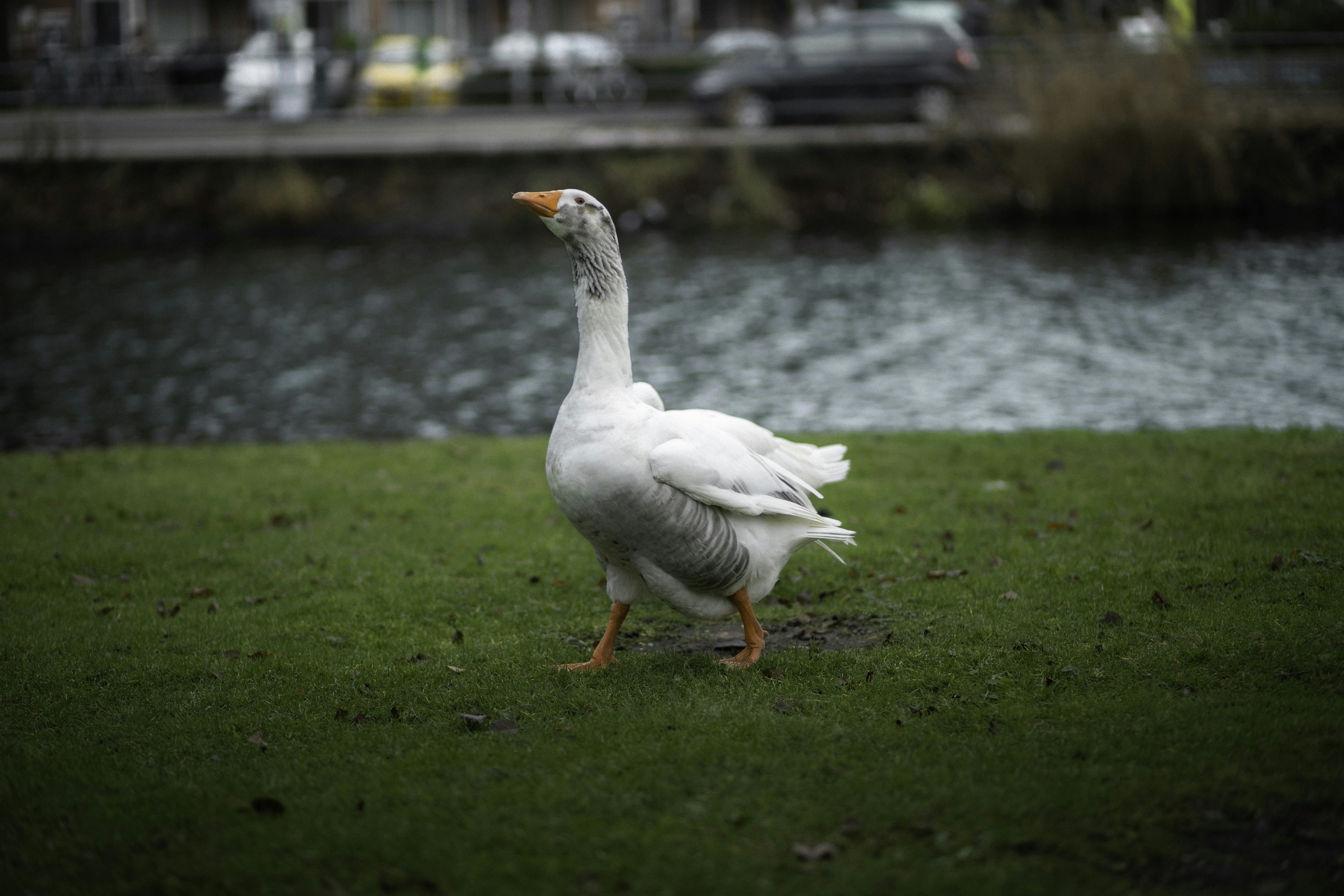 Photo by behindthetmuna