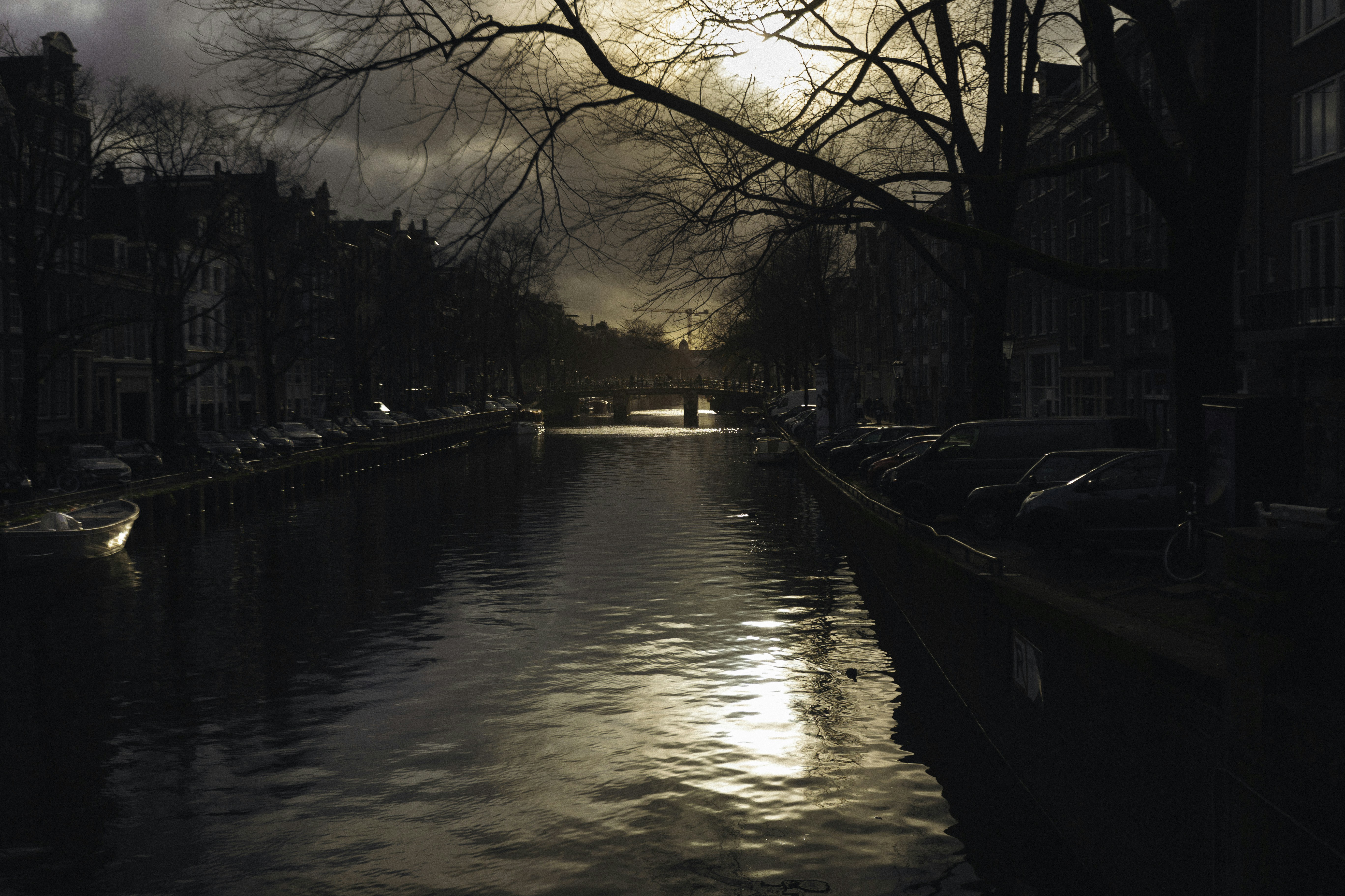 Photo by behindthetmuna