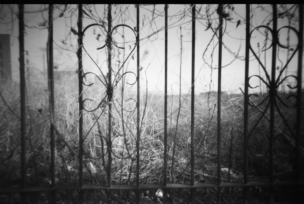 a black and white photo of a fence