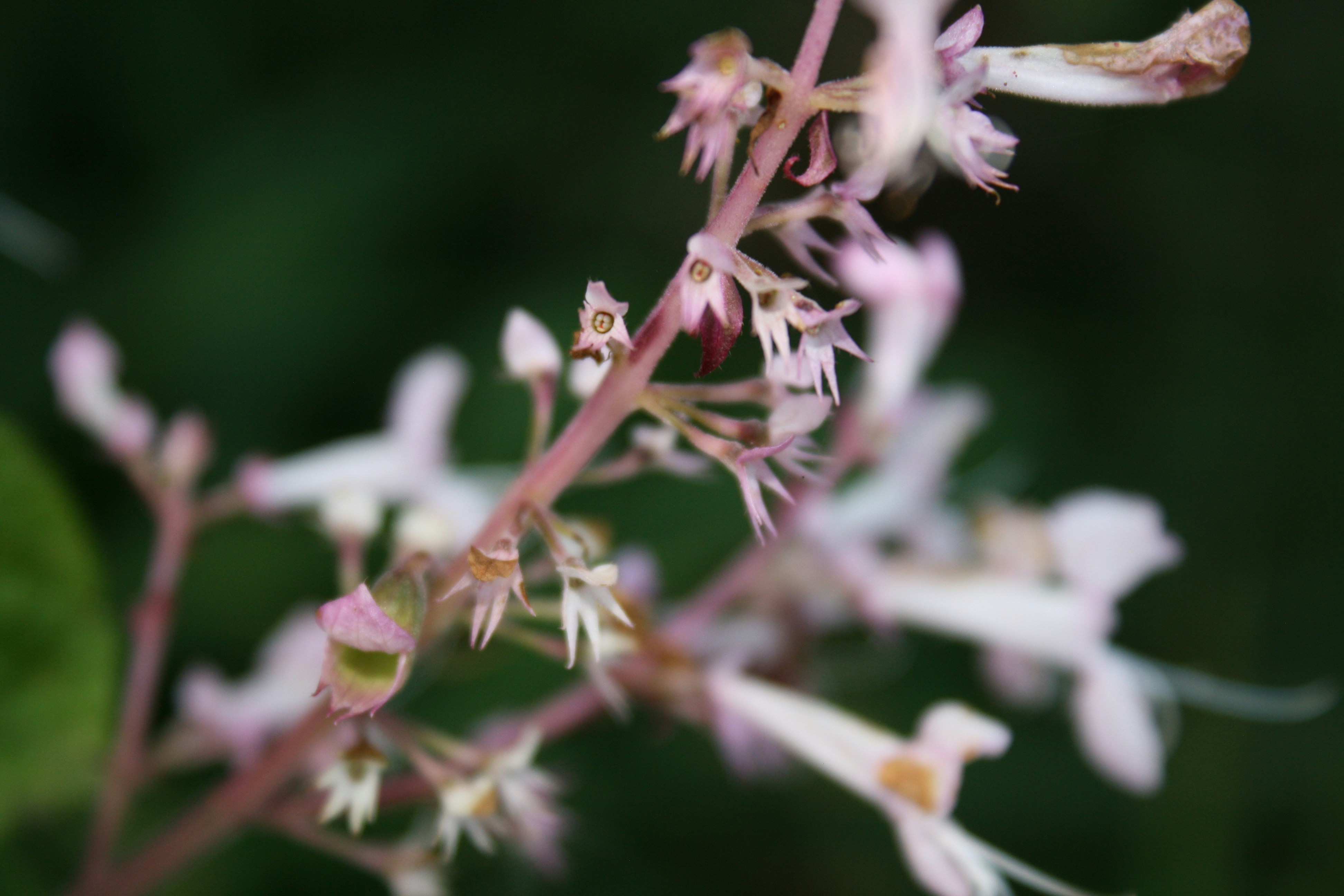 Photo by mikayla_vans