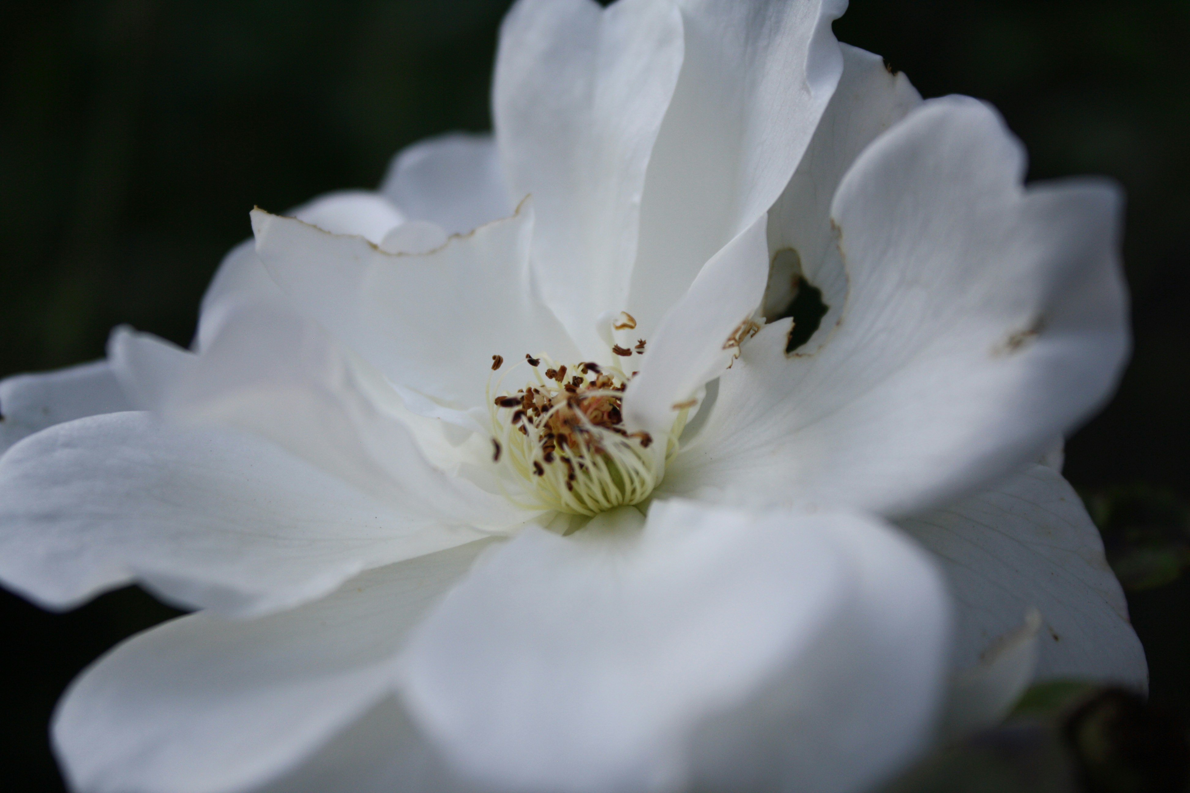 Photo by mikayla_vans