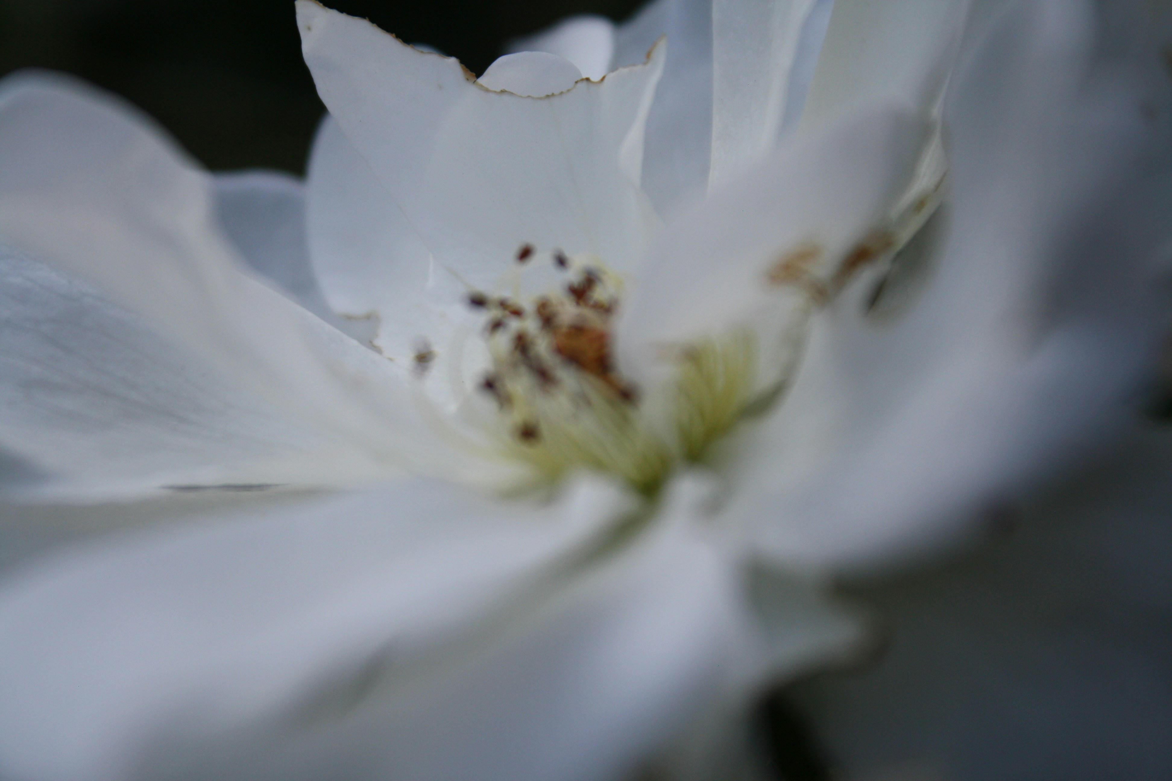 Photo by mikayla_vans