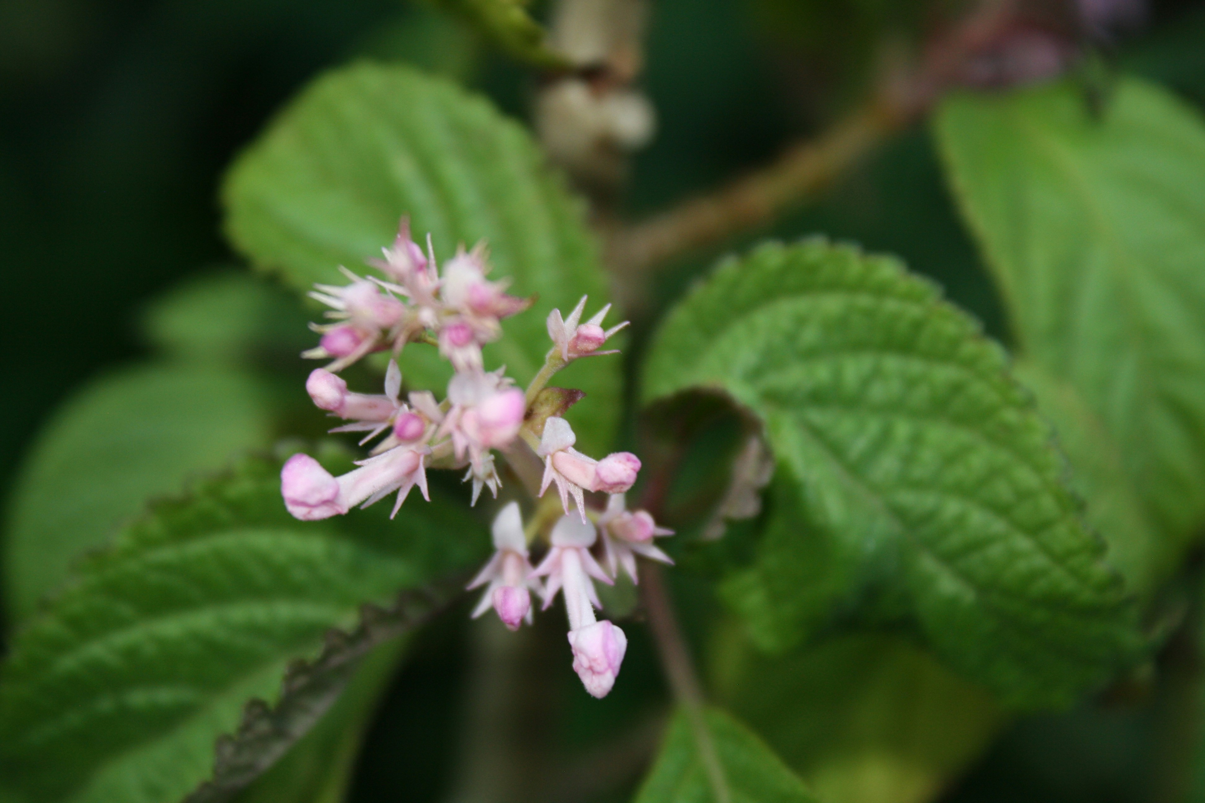 Photo by mikayla_vans