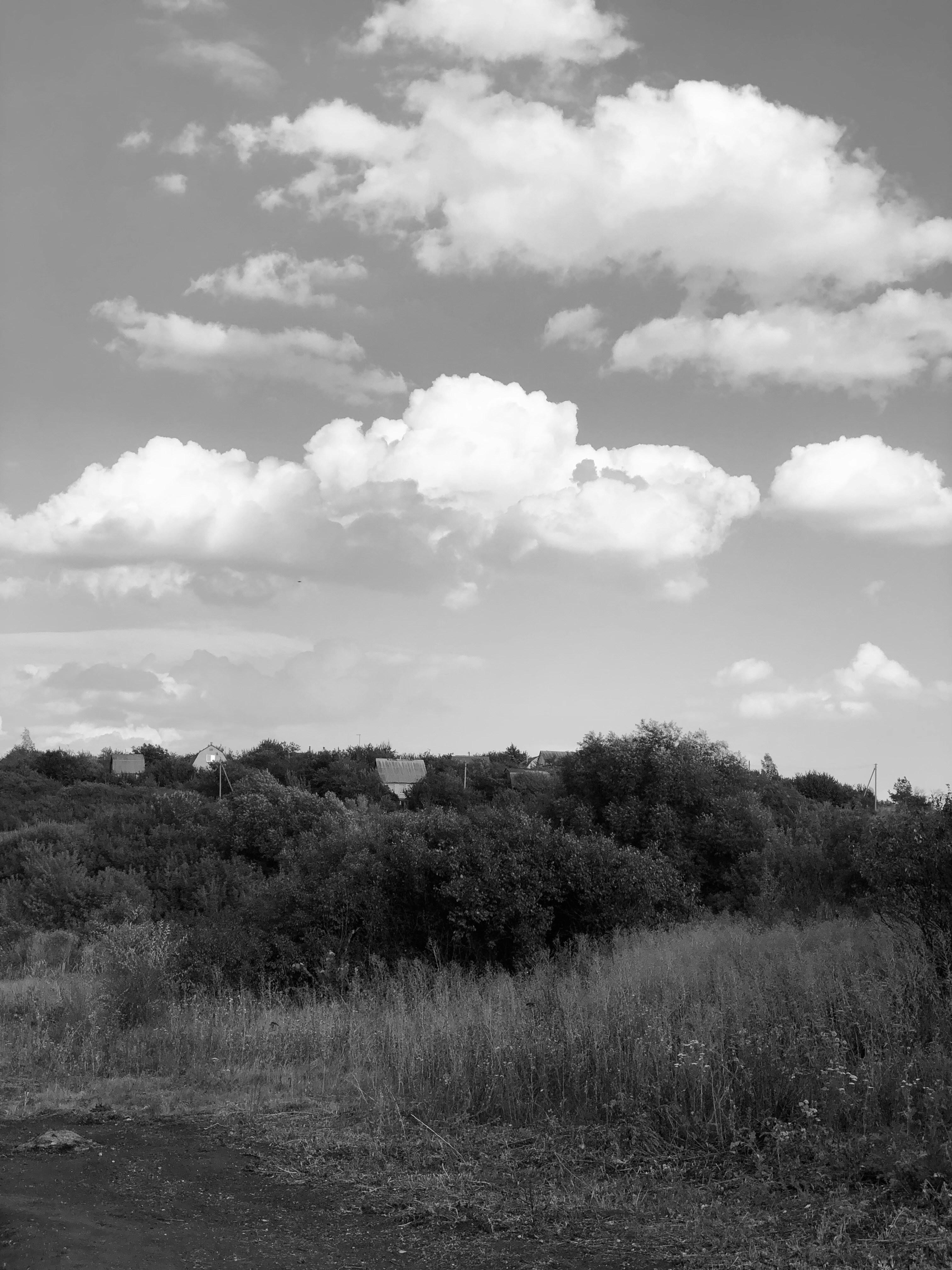 Photo by stepanseverinoff