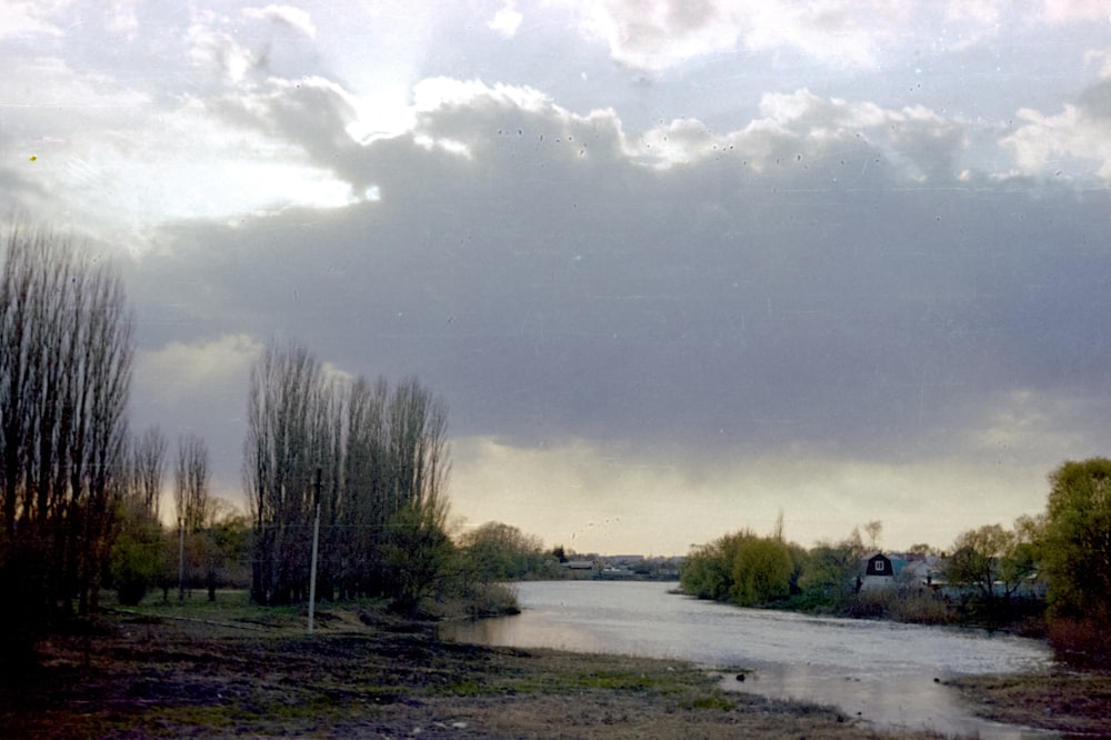 a river running through a lush green forest under a cloudy sky