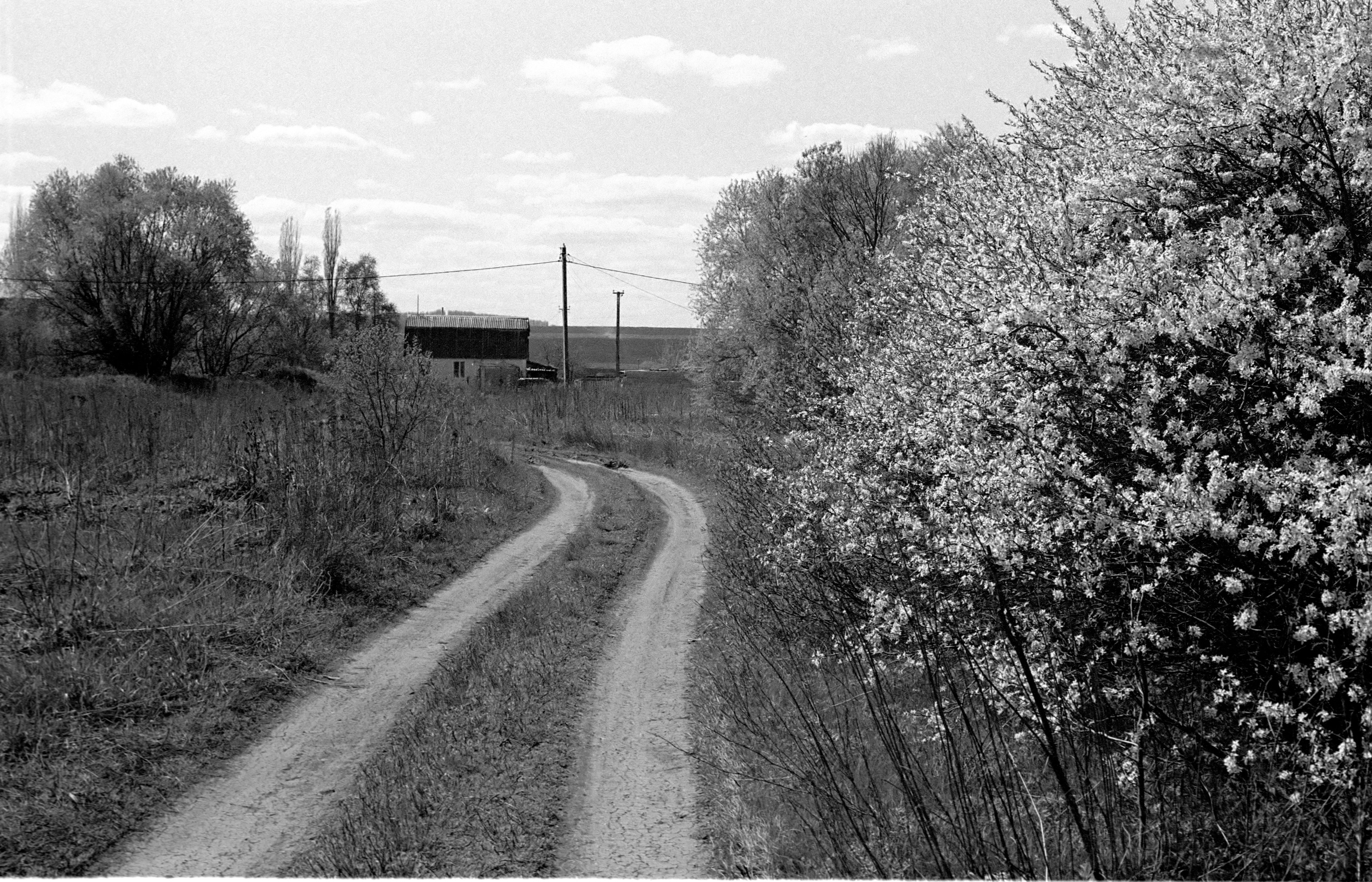 Photo by stepanseverinoff