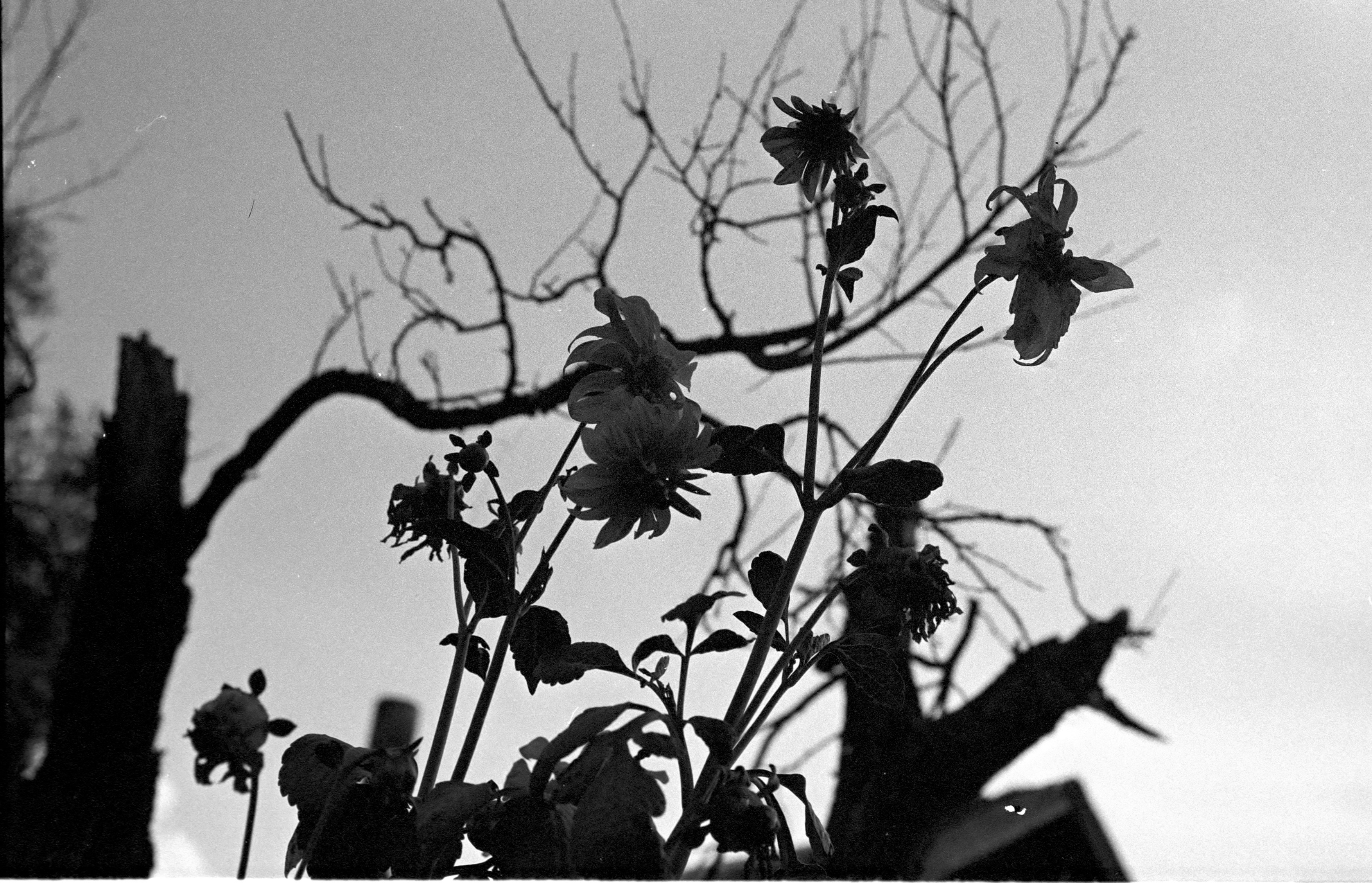 Photo by stepanseverinoff