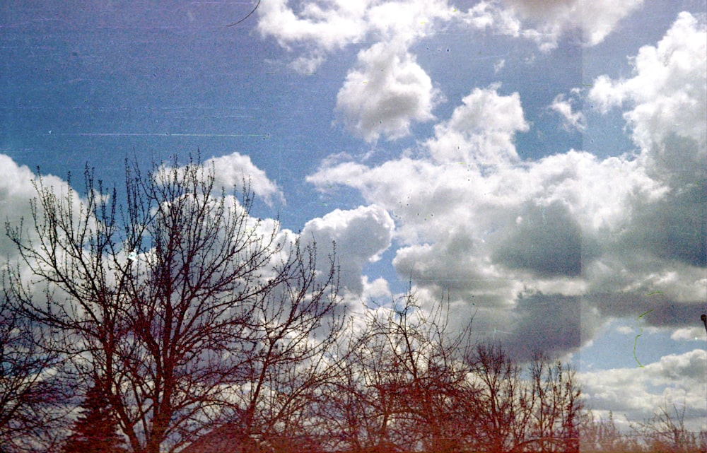 a picture of a cloudy sky with trees in the foreground